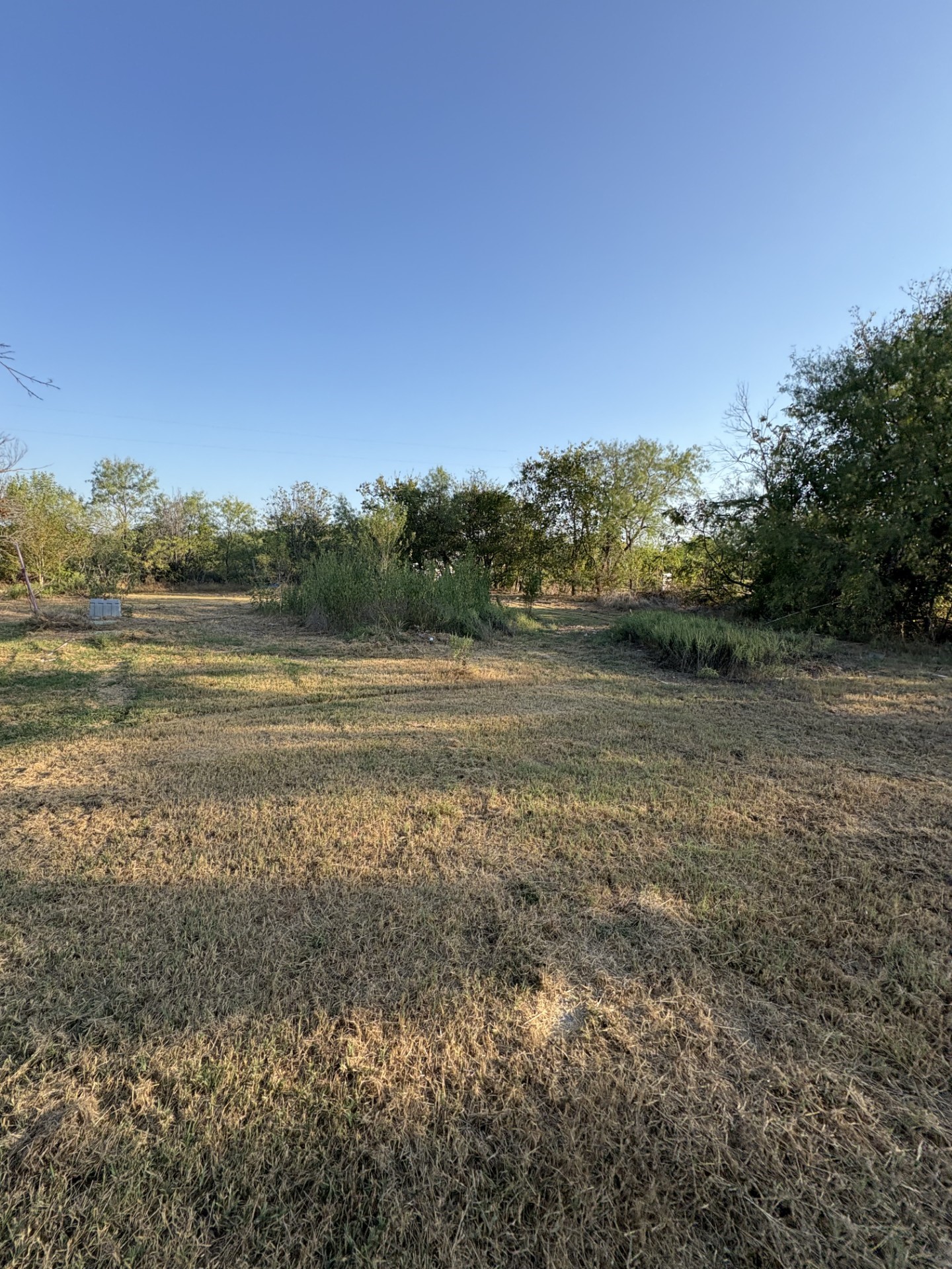176 County Road 1436