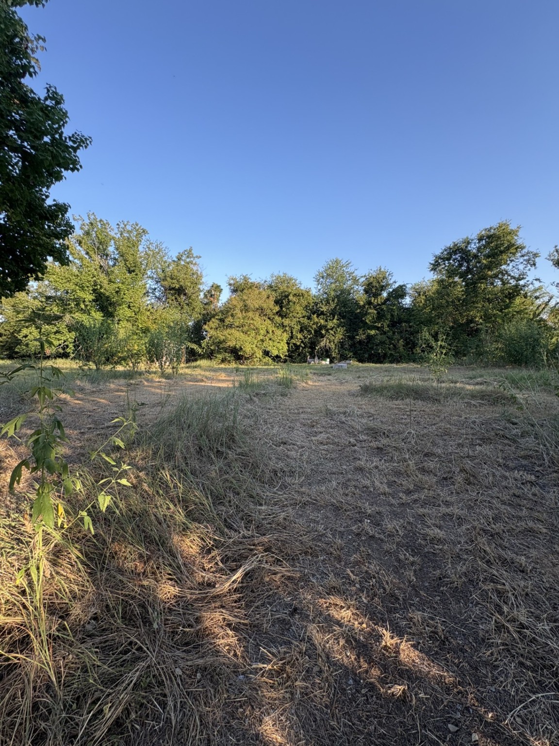 176 County Road 1436