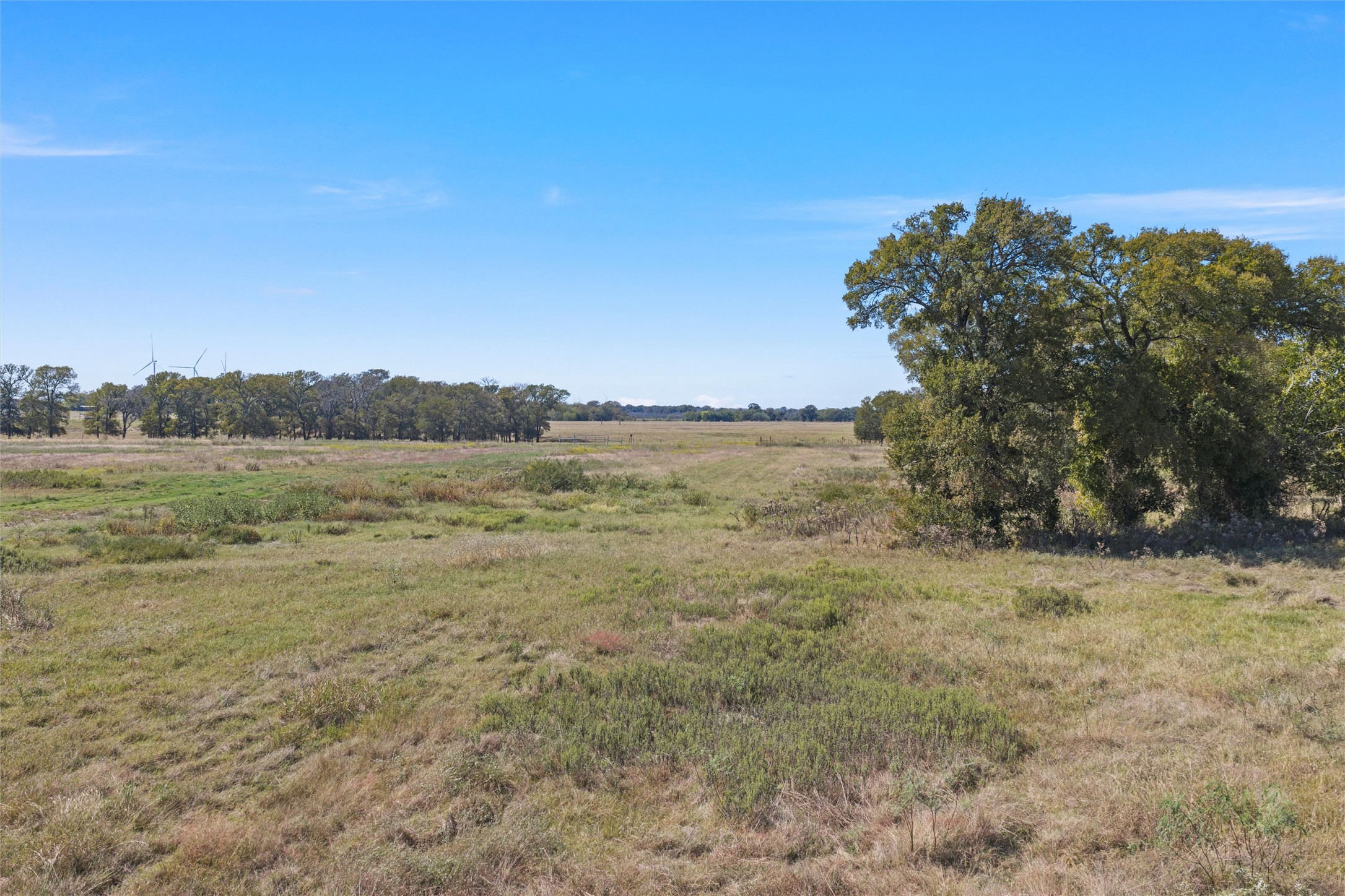 TBD SW CR 4200
