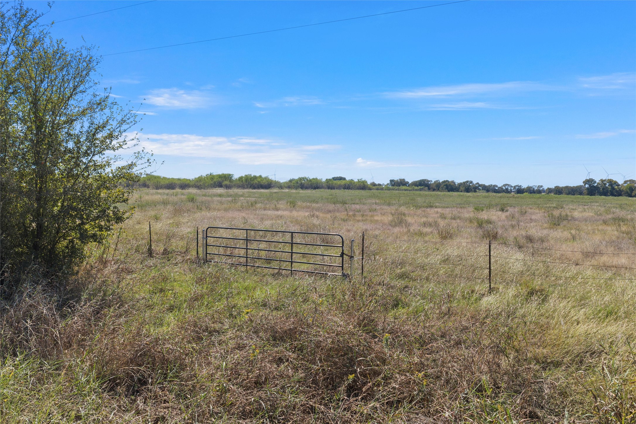 TBD SW CR 4200