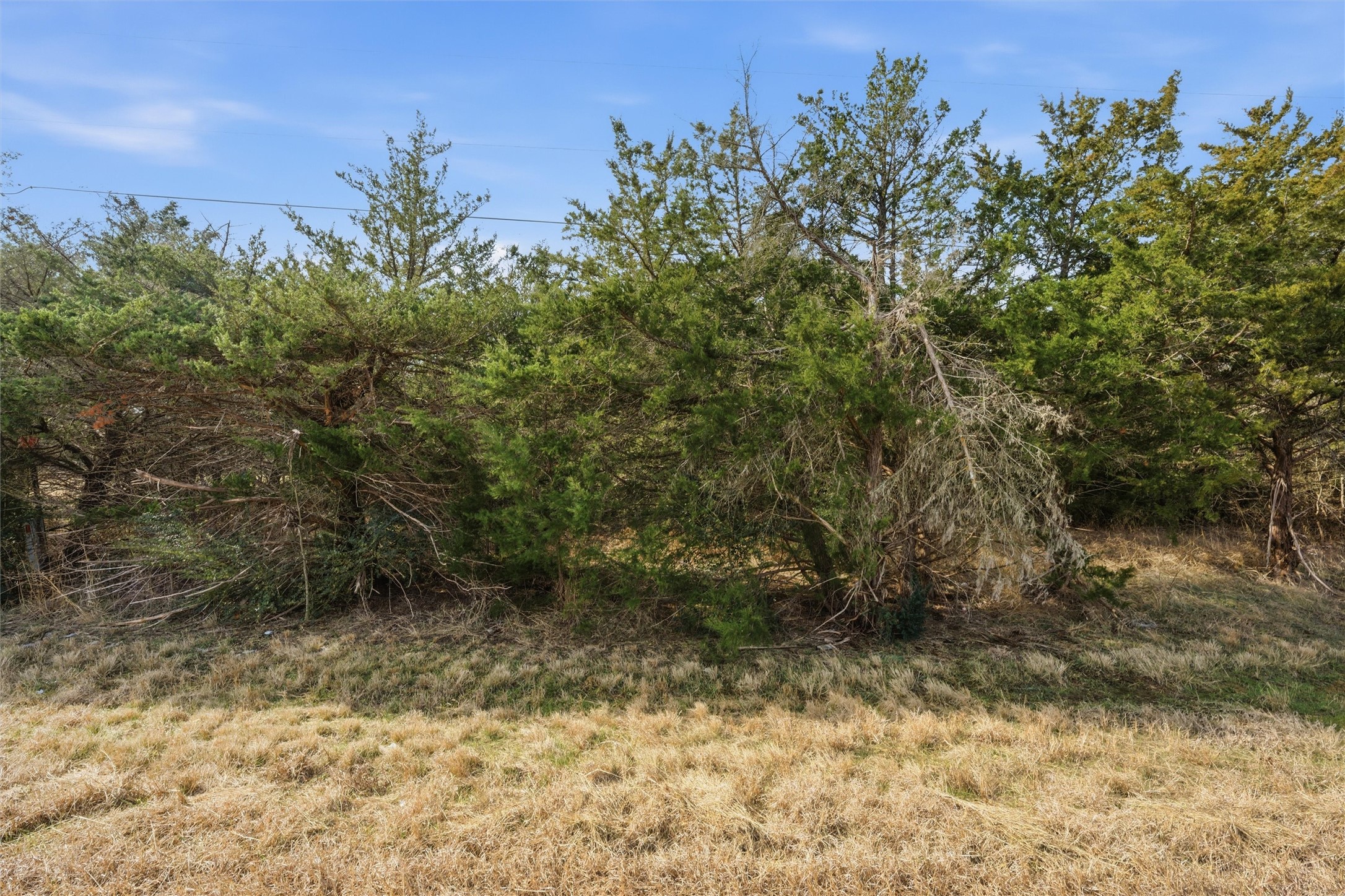 TBD County Road 490