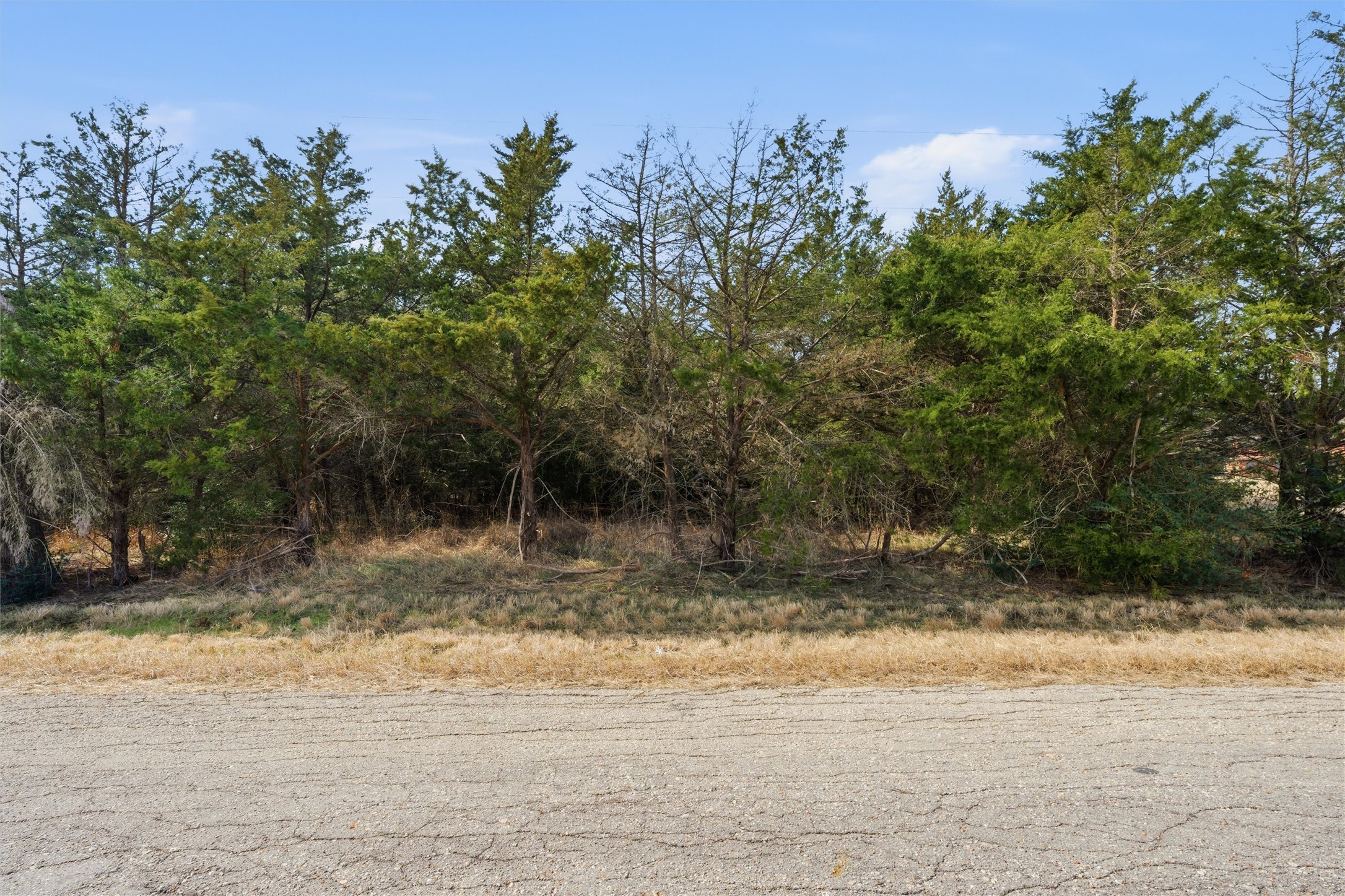 TBD County Road 490
