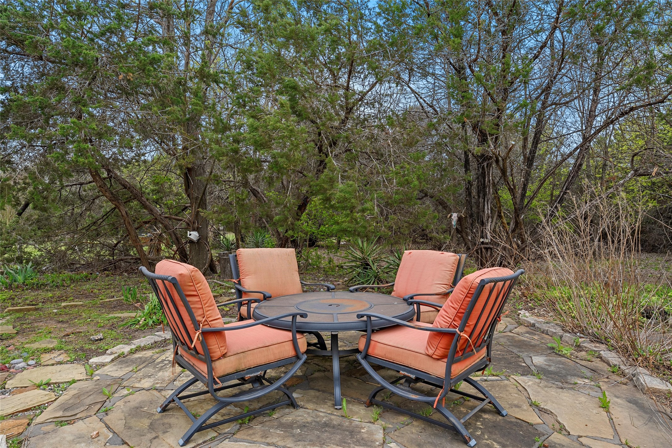 36038 Cedar Ridge Drive