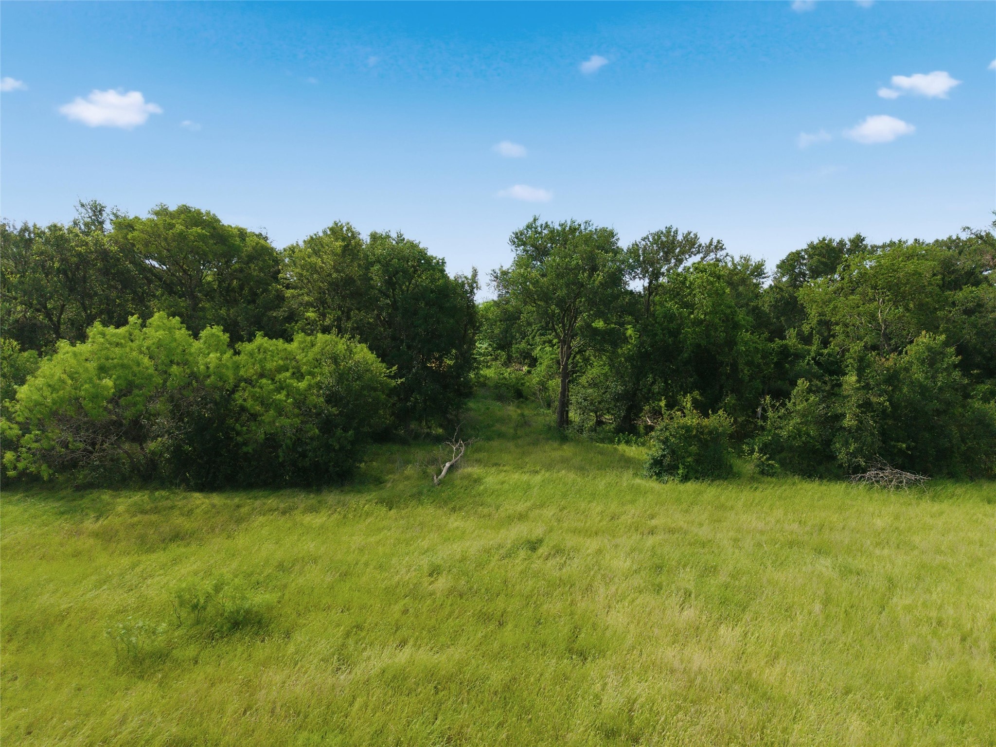 1898 Mt Moriah Road
