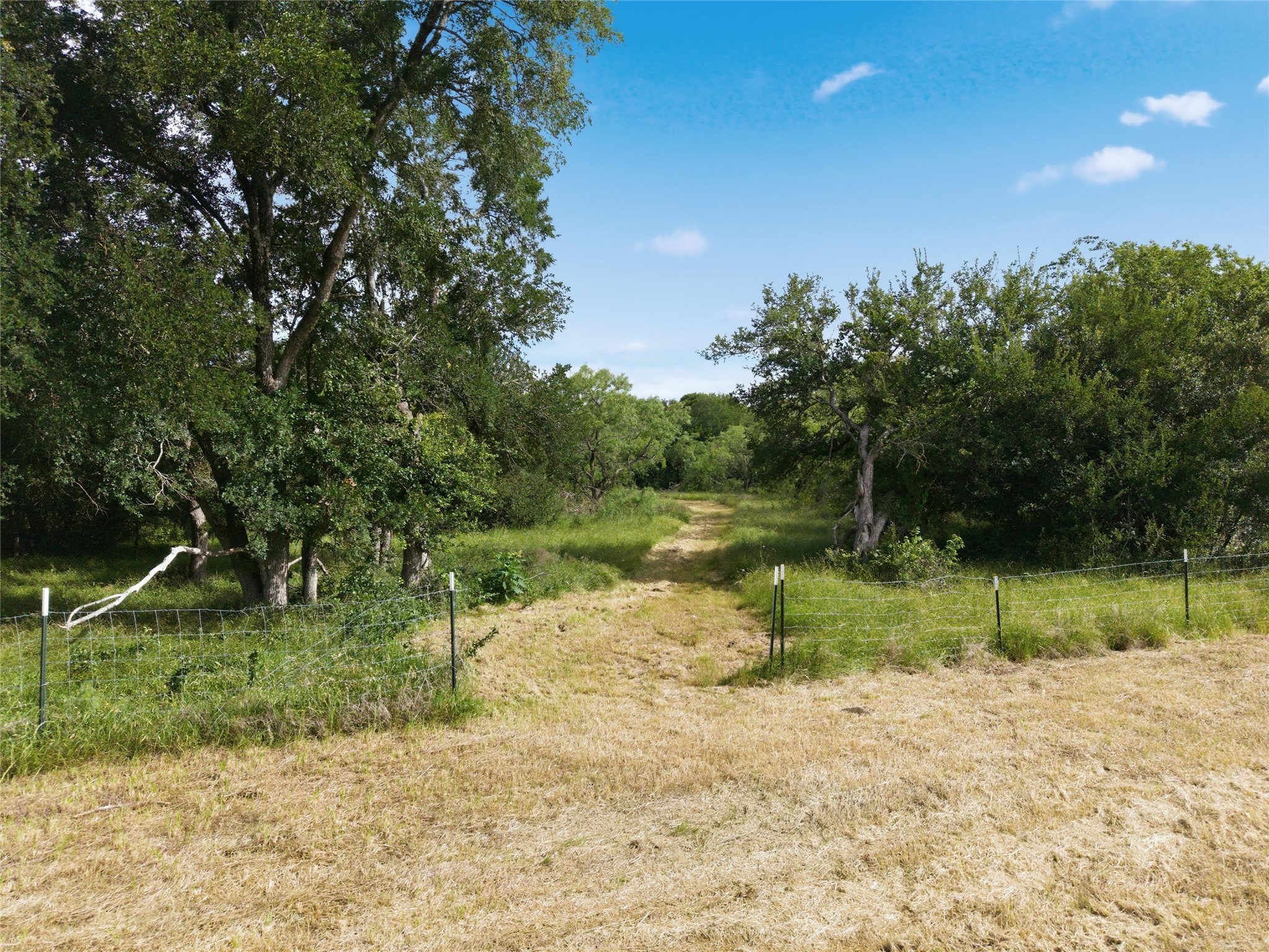 1898 Mt Moriah Road