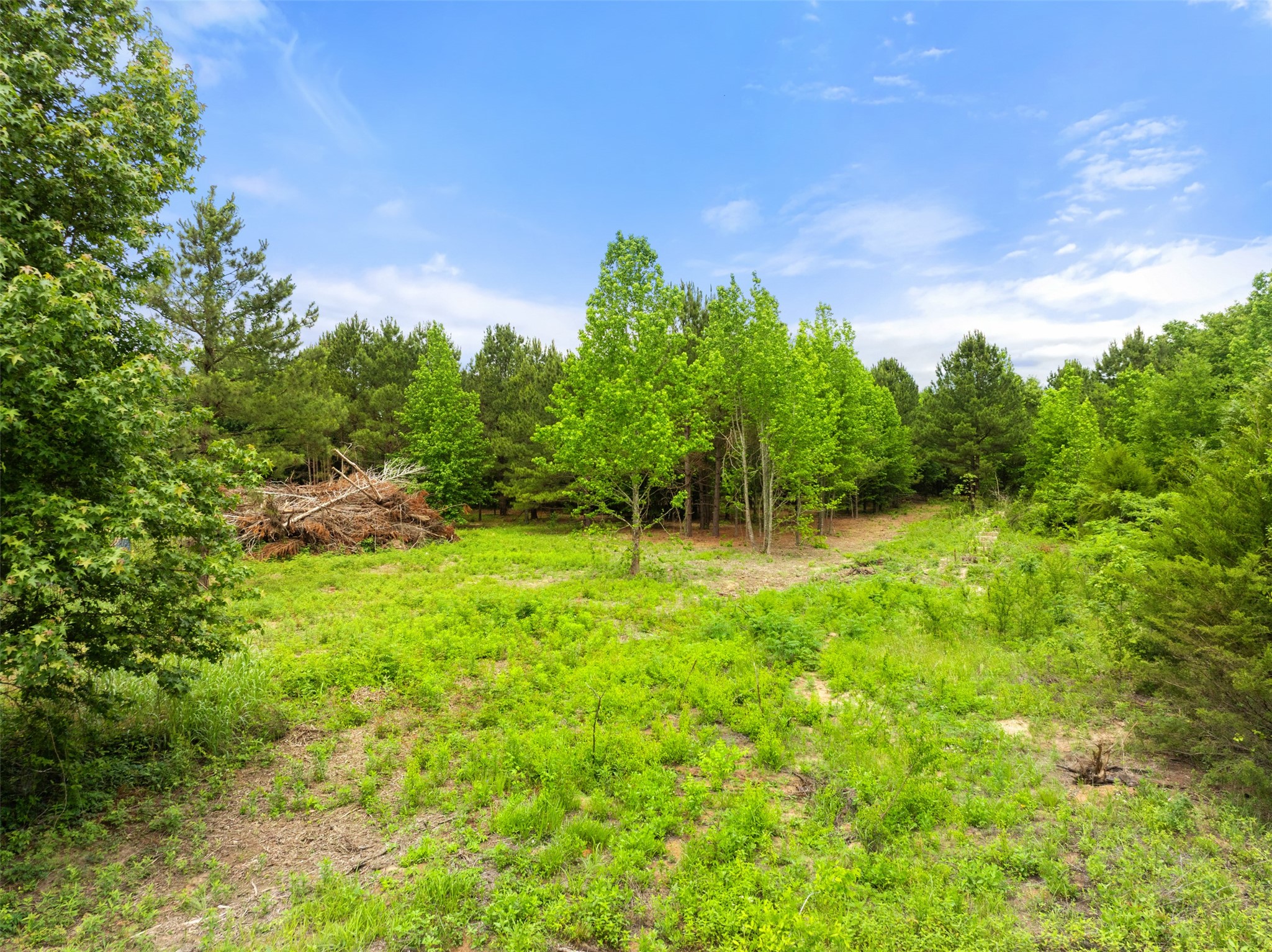 TBD County Road 2790