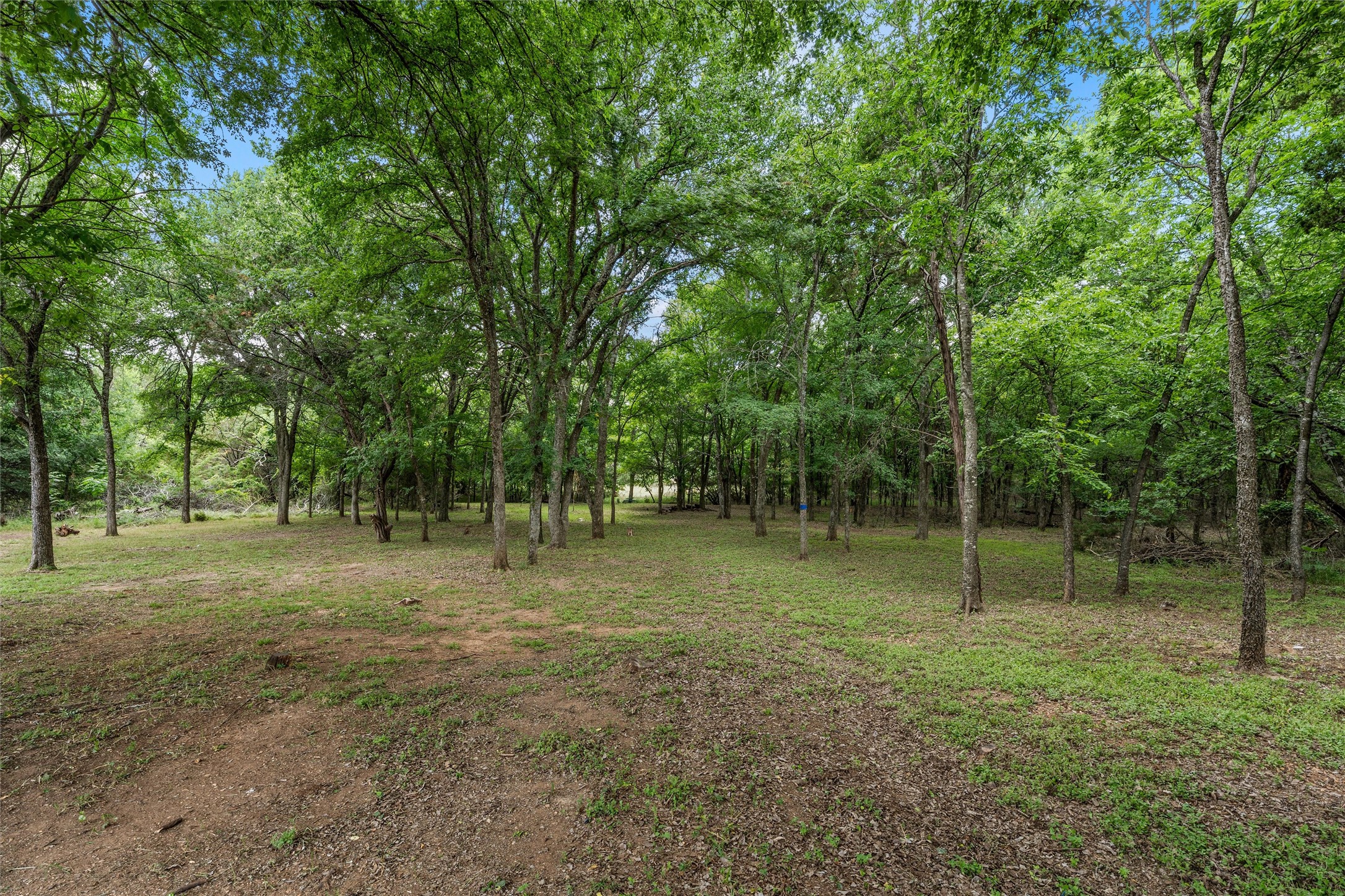 1561 Whitecrest Drive