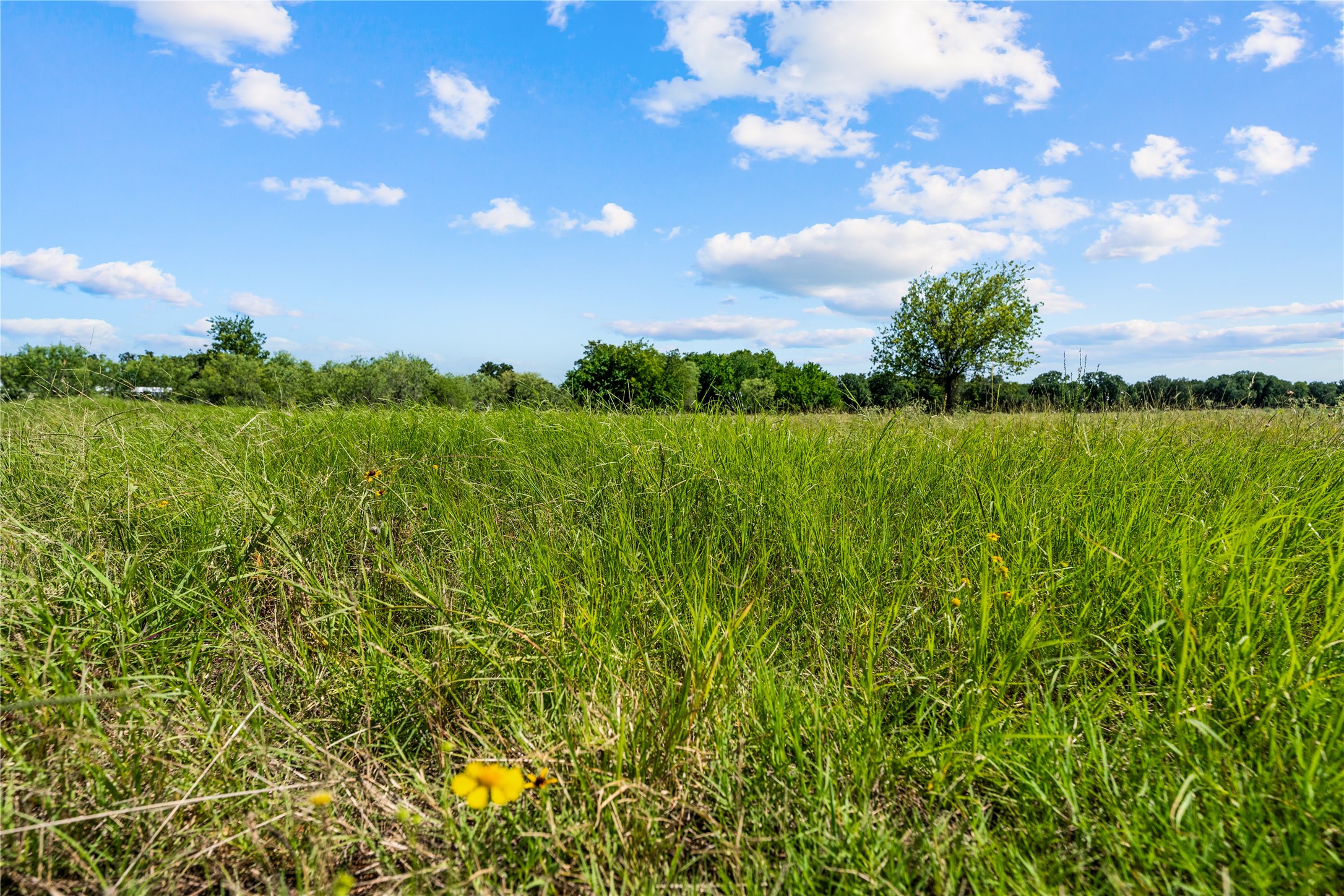 Lot 2 Lakewood Drive