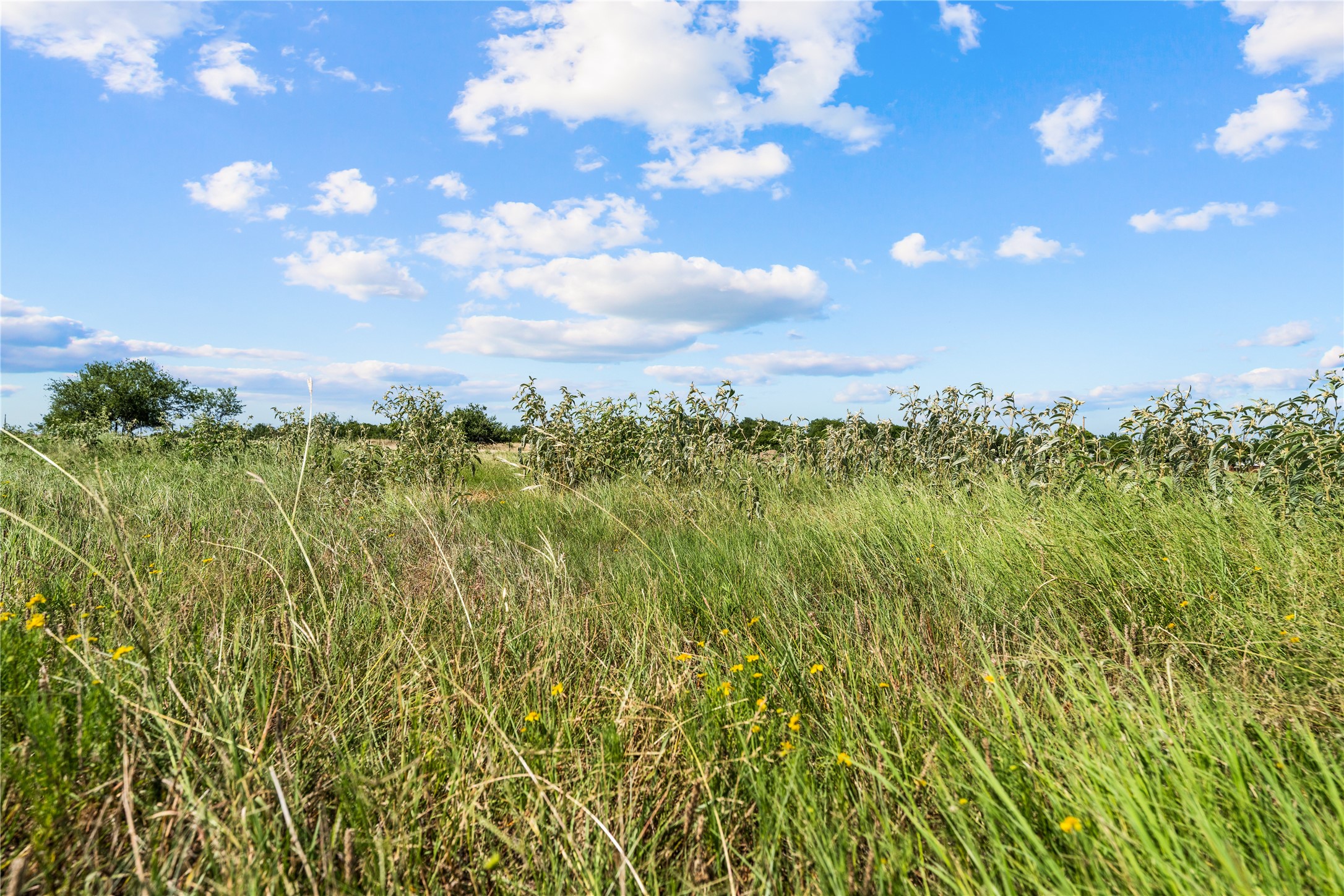 Lot 3 Lakewood Drive