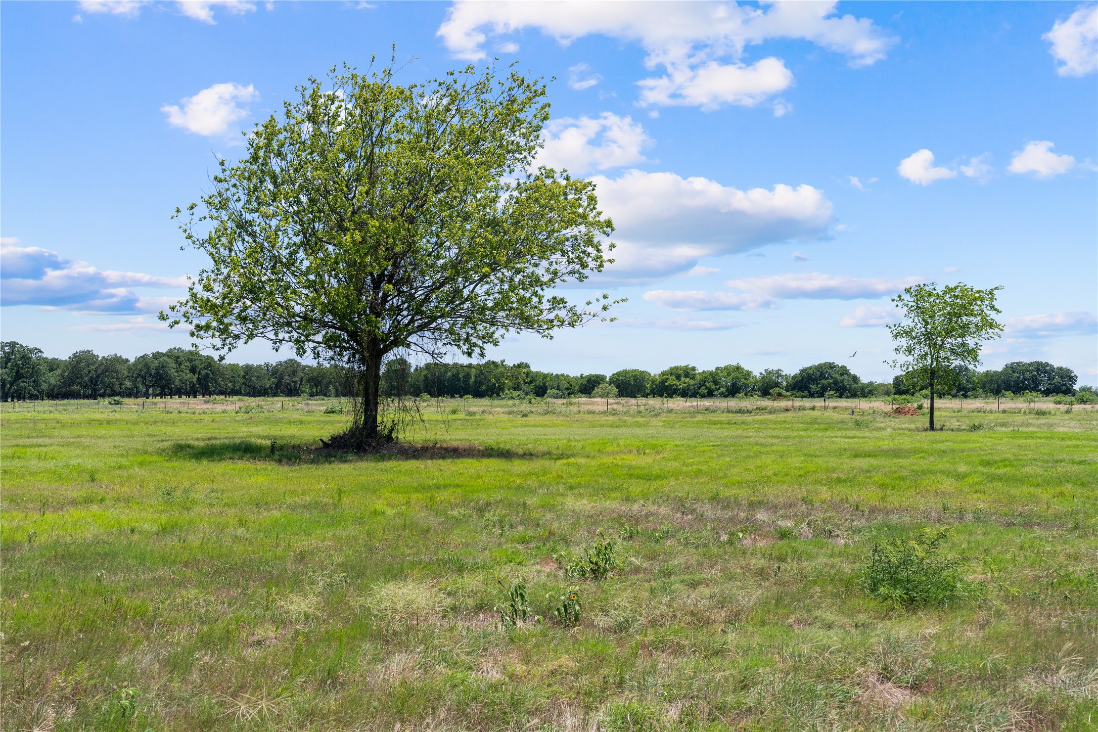 Lot 4 Lakewood Drive