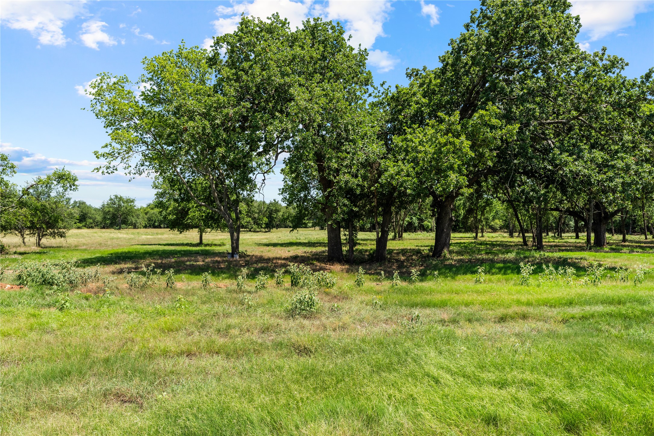 Lot 8 Lakewood Drive