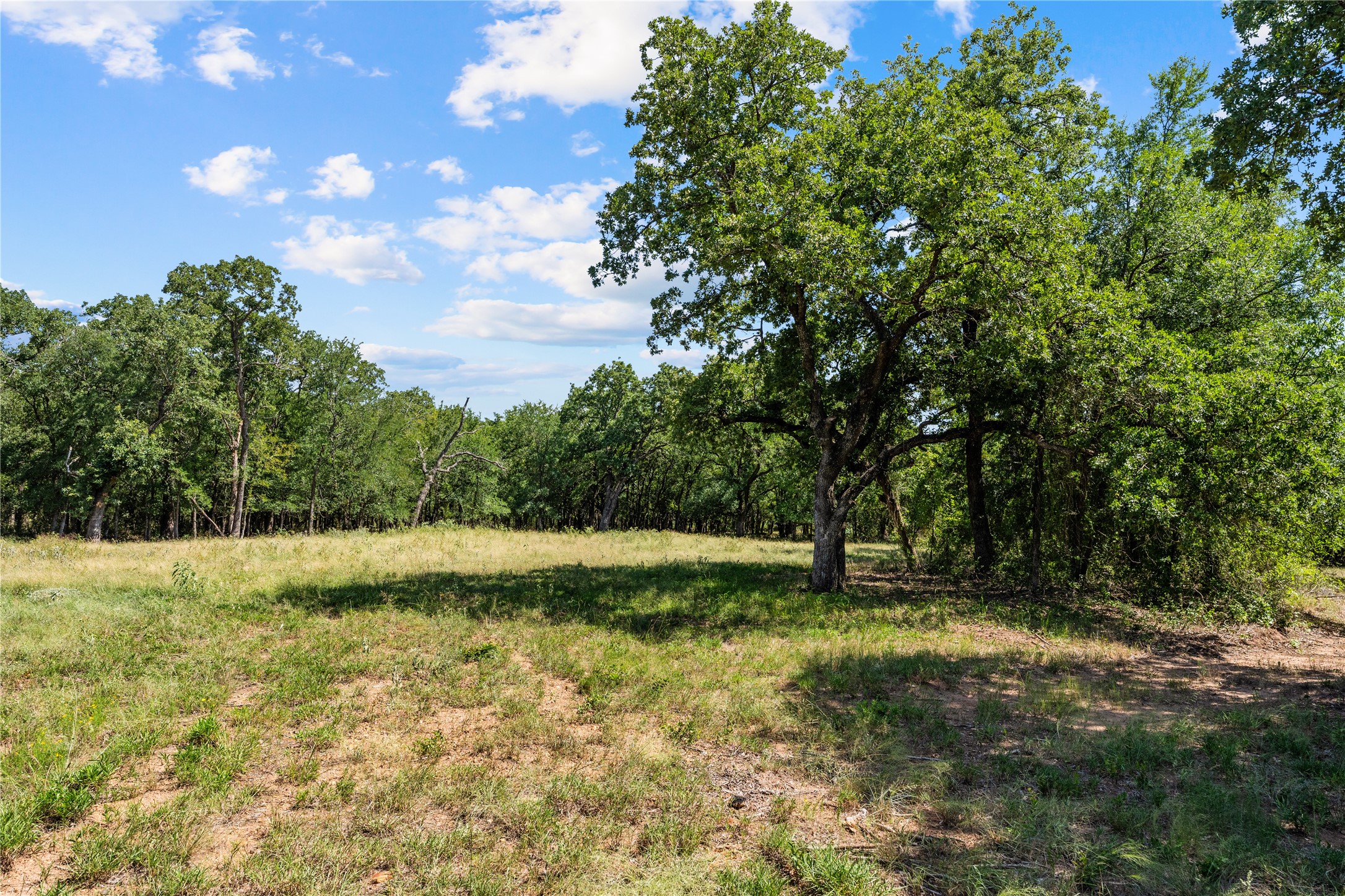 Lot 12 Lakewood Drive