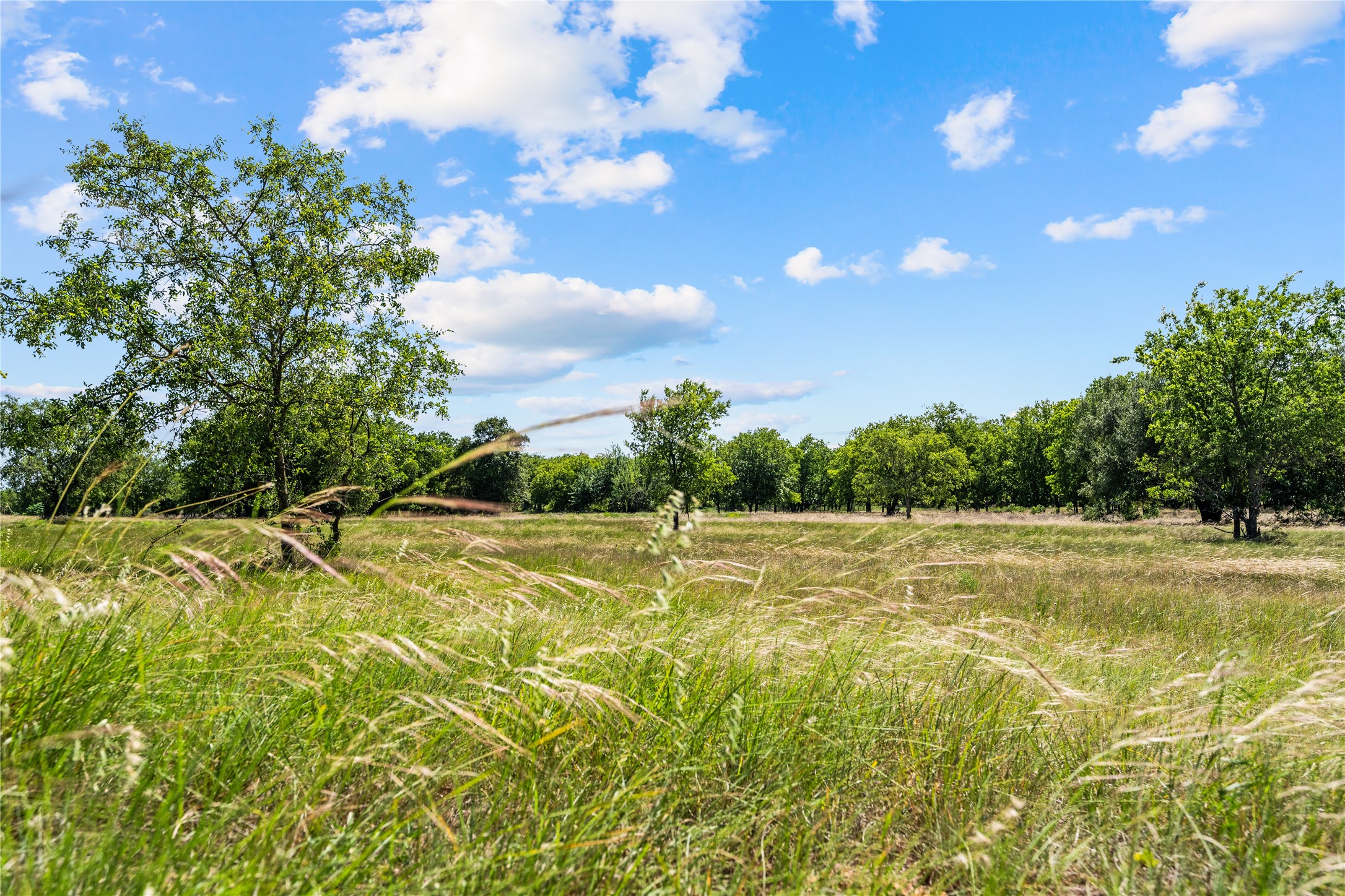 Lot 15 Lakewood Drive
