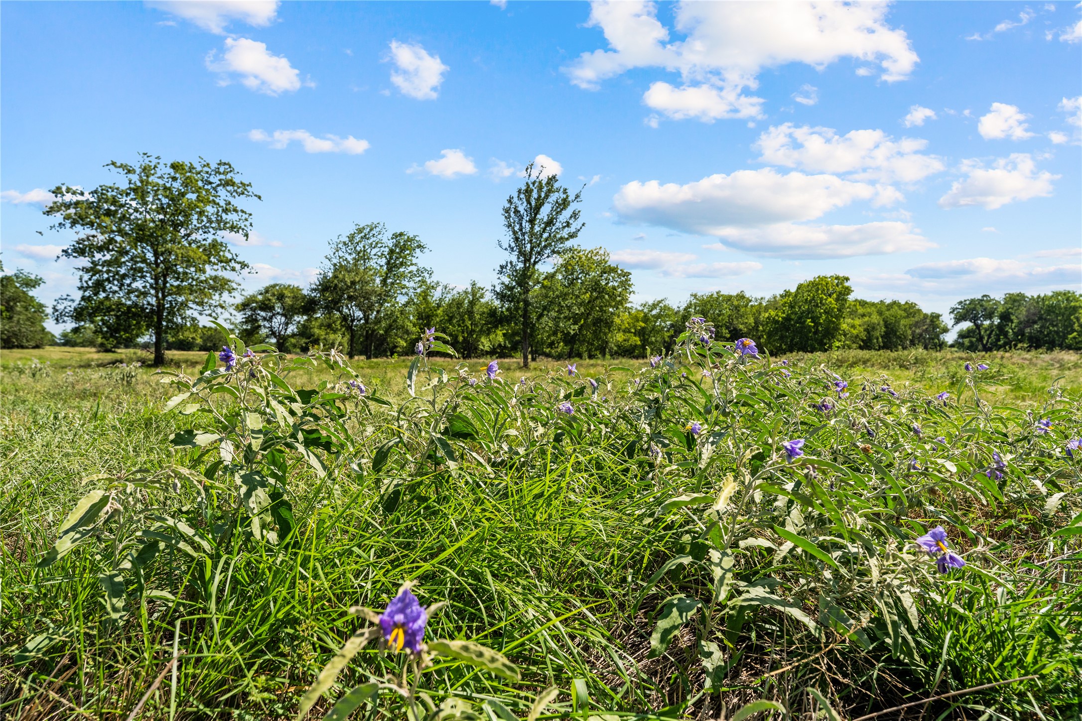 Lot 17 Lakewood Drive