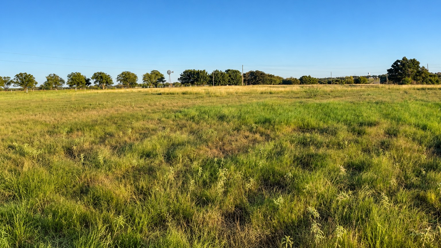 1818 State Highway 171