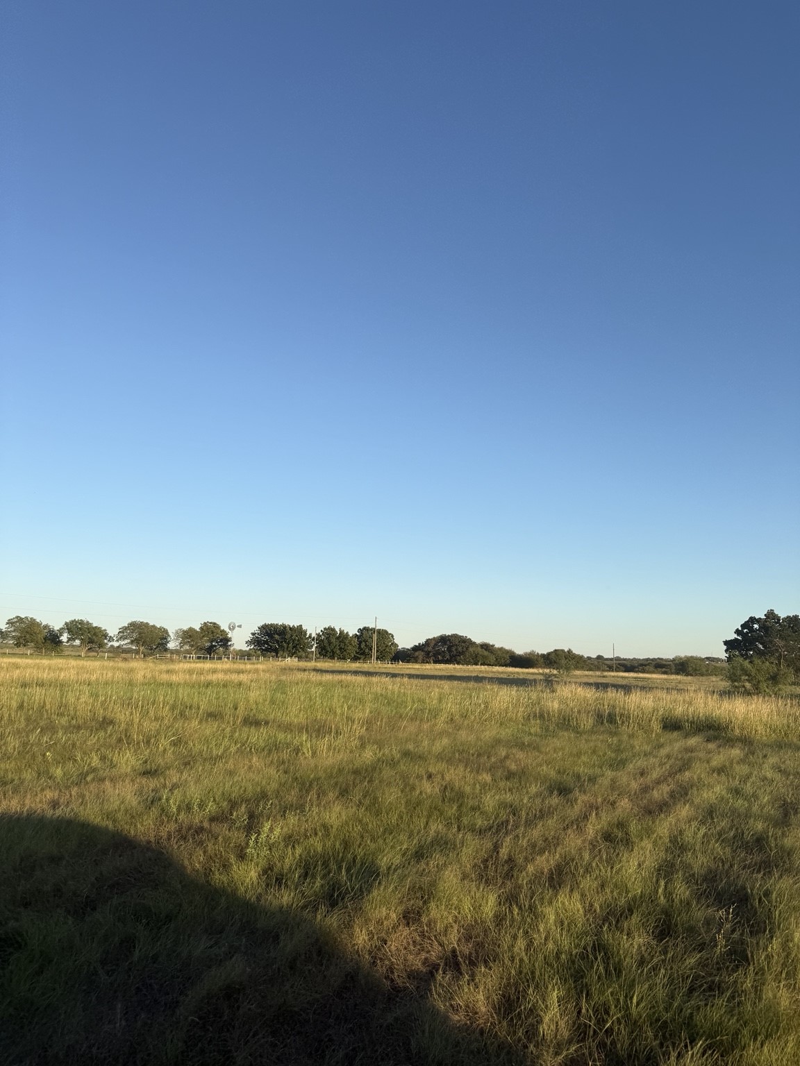 1818 State Highway 171