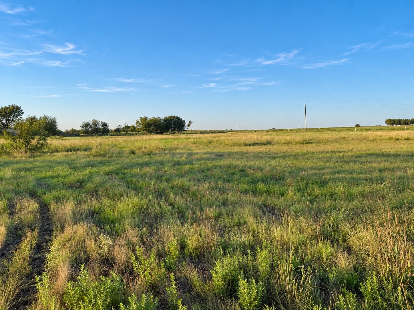 1818 State Highway 171