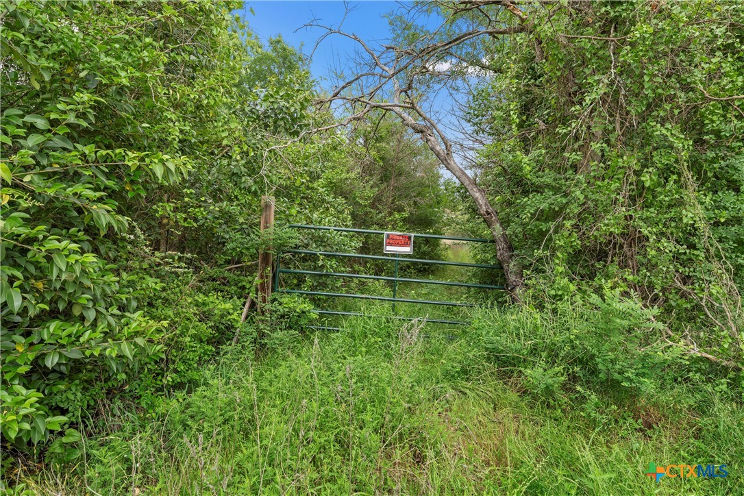 339 Murrell Lane