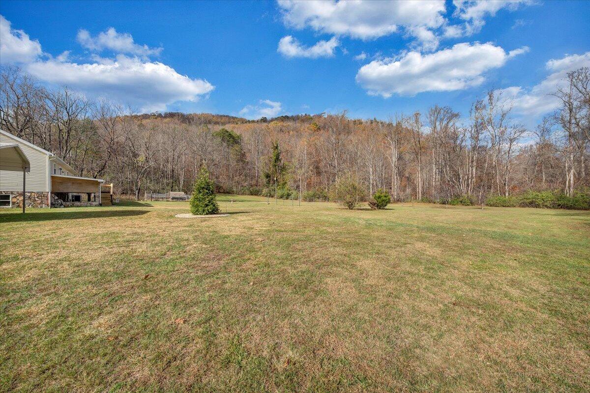 62 Cave Mtn Lake RD