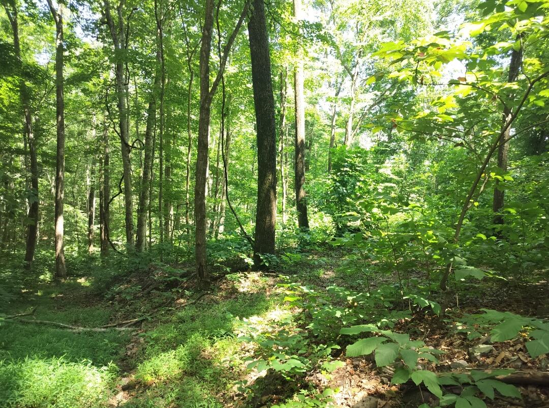 2358 Wood Town RD