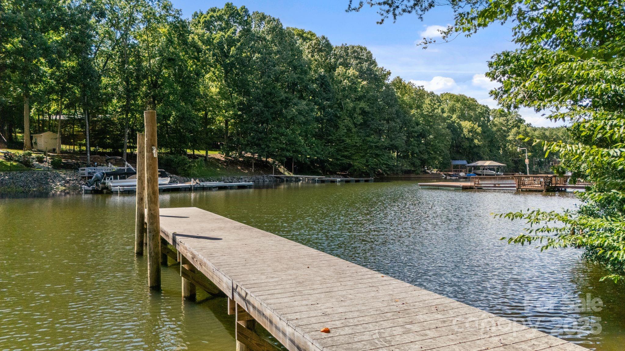 440 Beech Tree Road