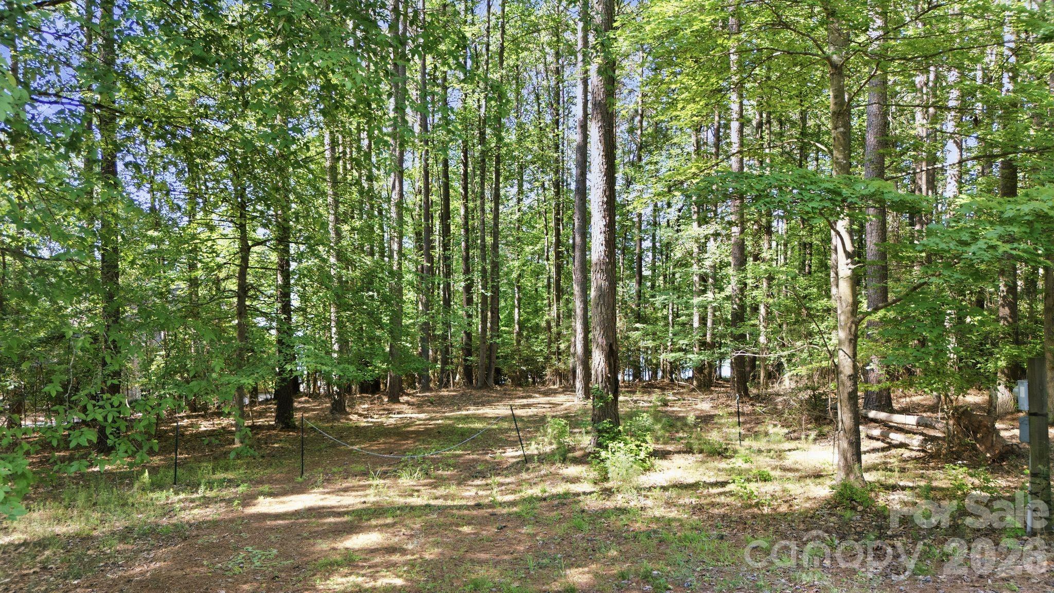 161 Eagle Chase Lane