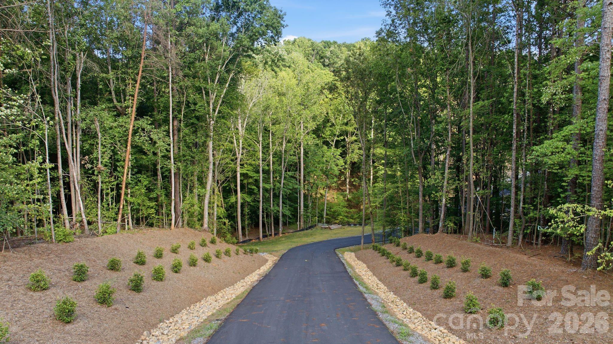 Paved driveway curves through landscaped grounds into a dense wooded property.
