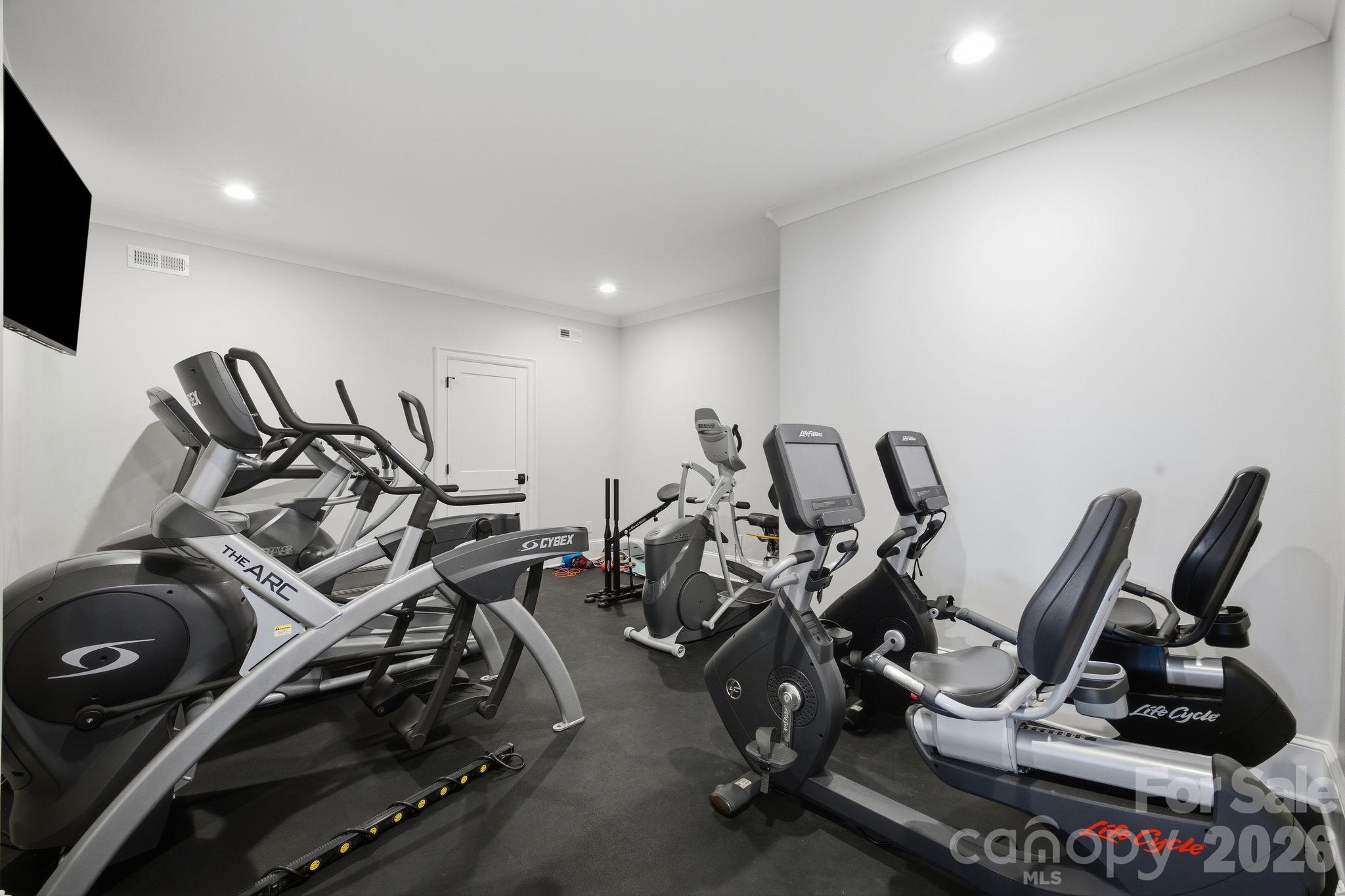Home gym with rows of elliptical machines and stationary bikes.