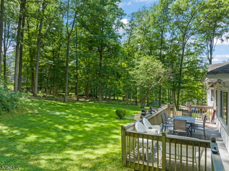 58 Harrison Dr