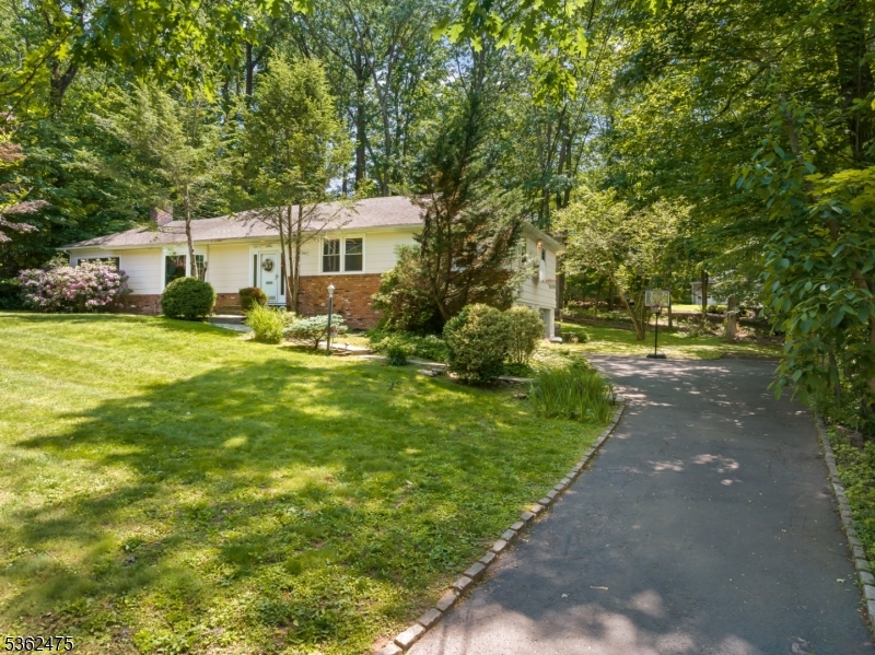 58 Harrison Dr