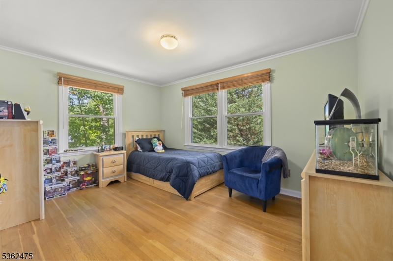 58 Harrison Dr