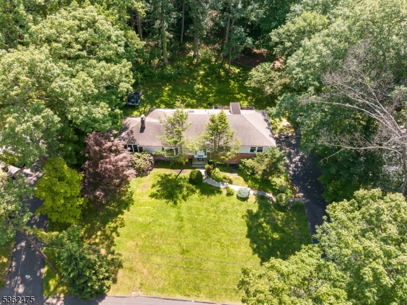 58 Harrison Dr