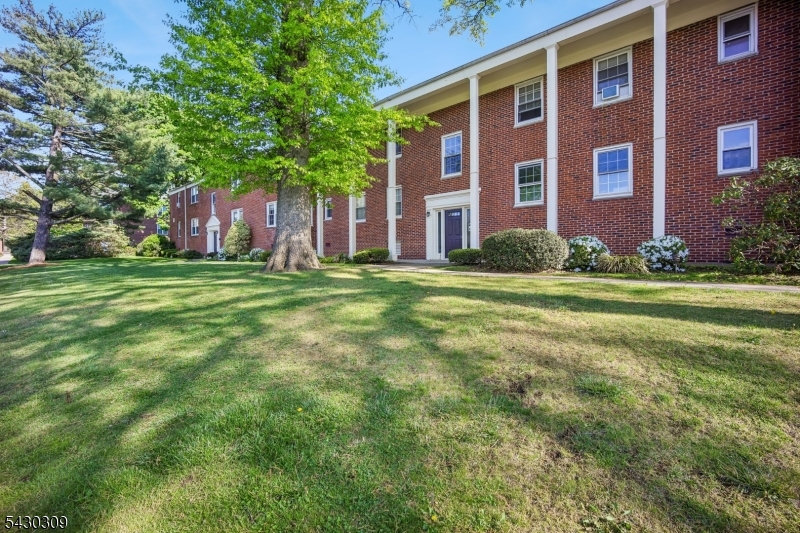 390 Morris Ave 8