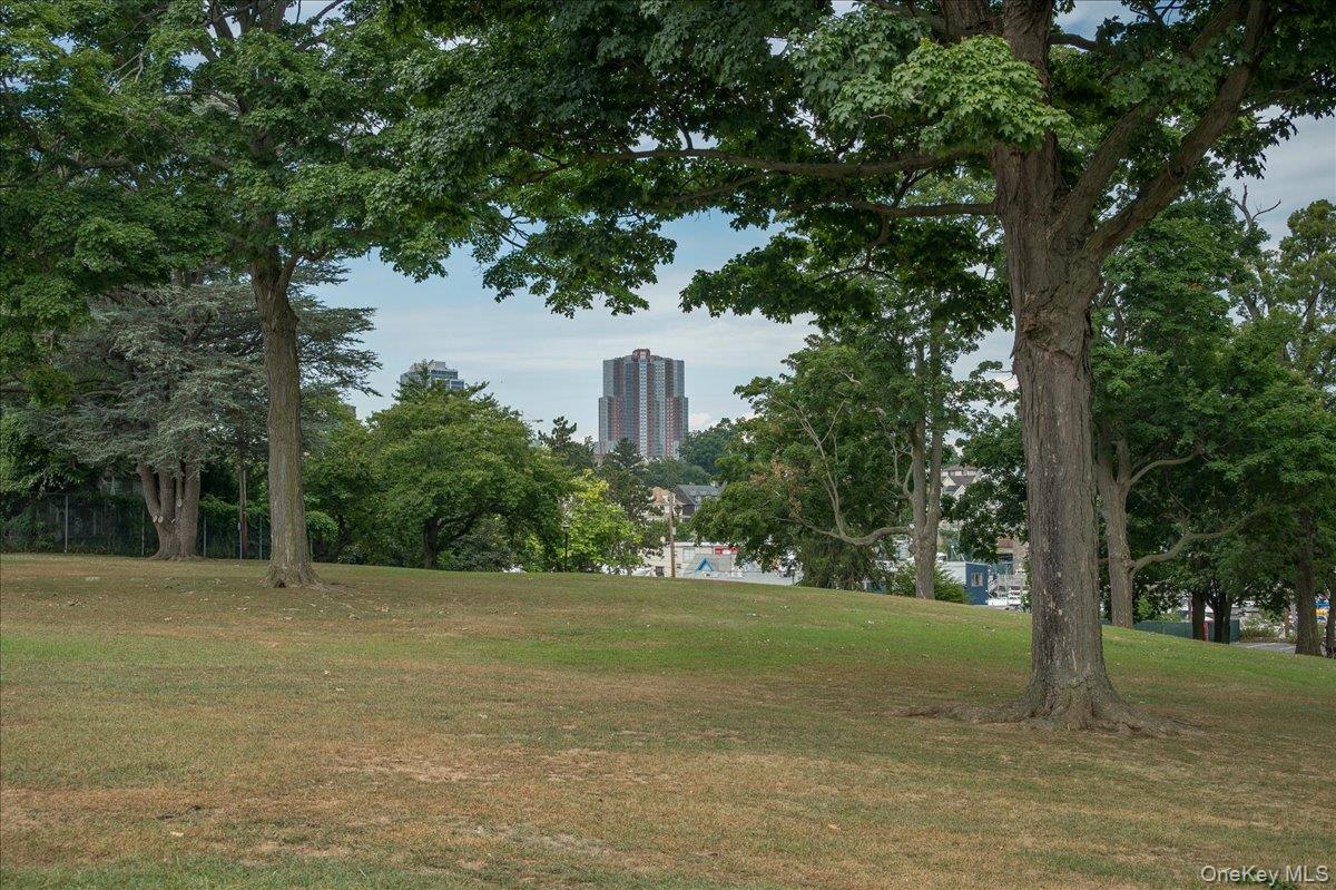 126 Church Street Unit: 3M