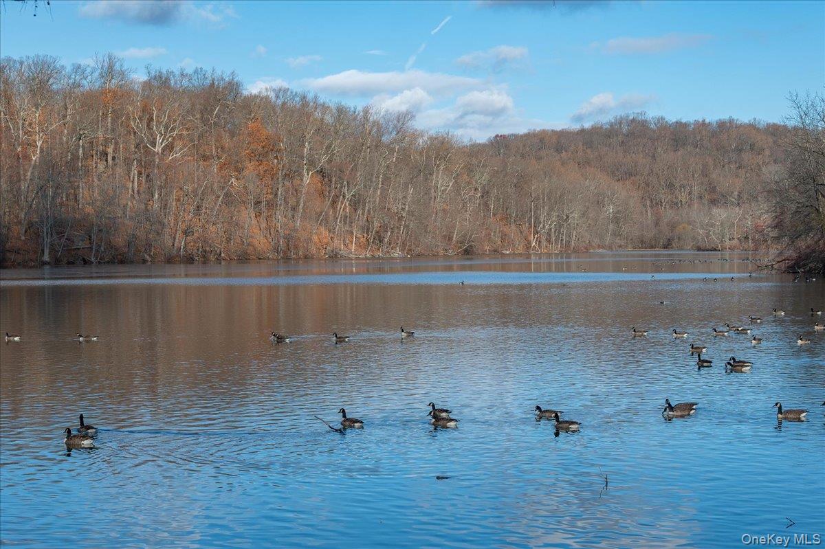 92 Underhill Avenue Unit: 2B