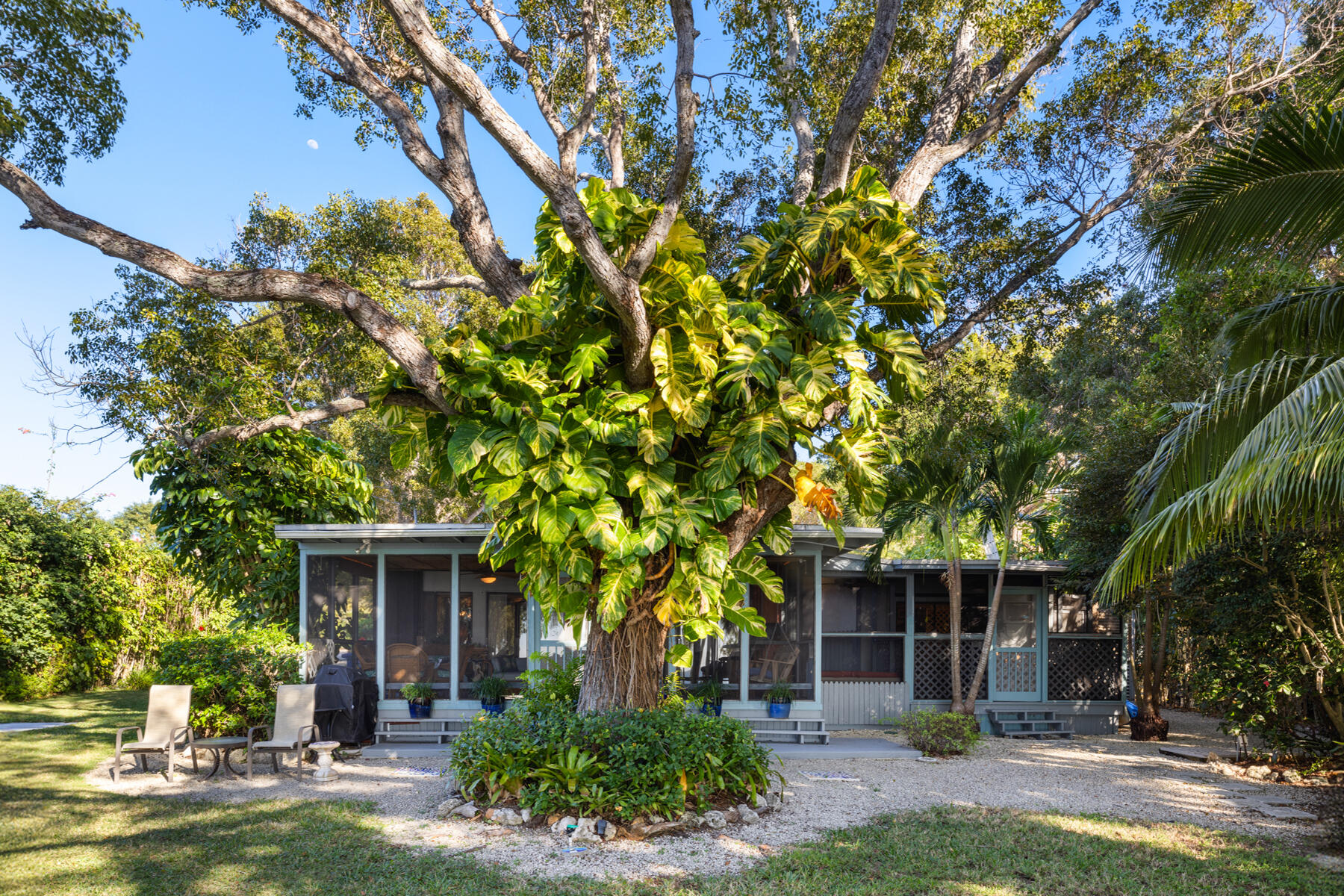 11 Bay Road