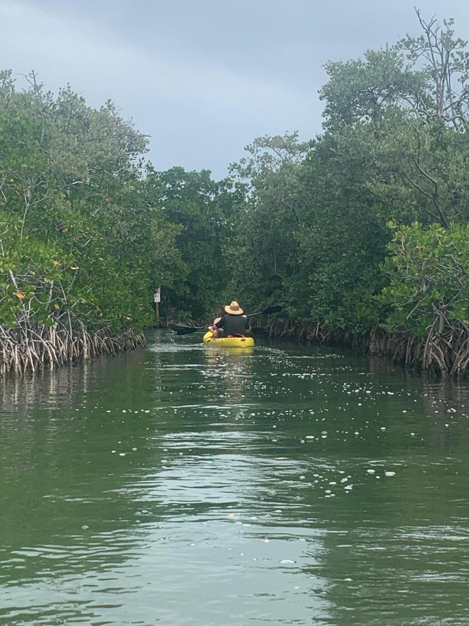 81 Jean La Fitte Drive