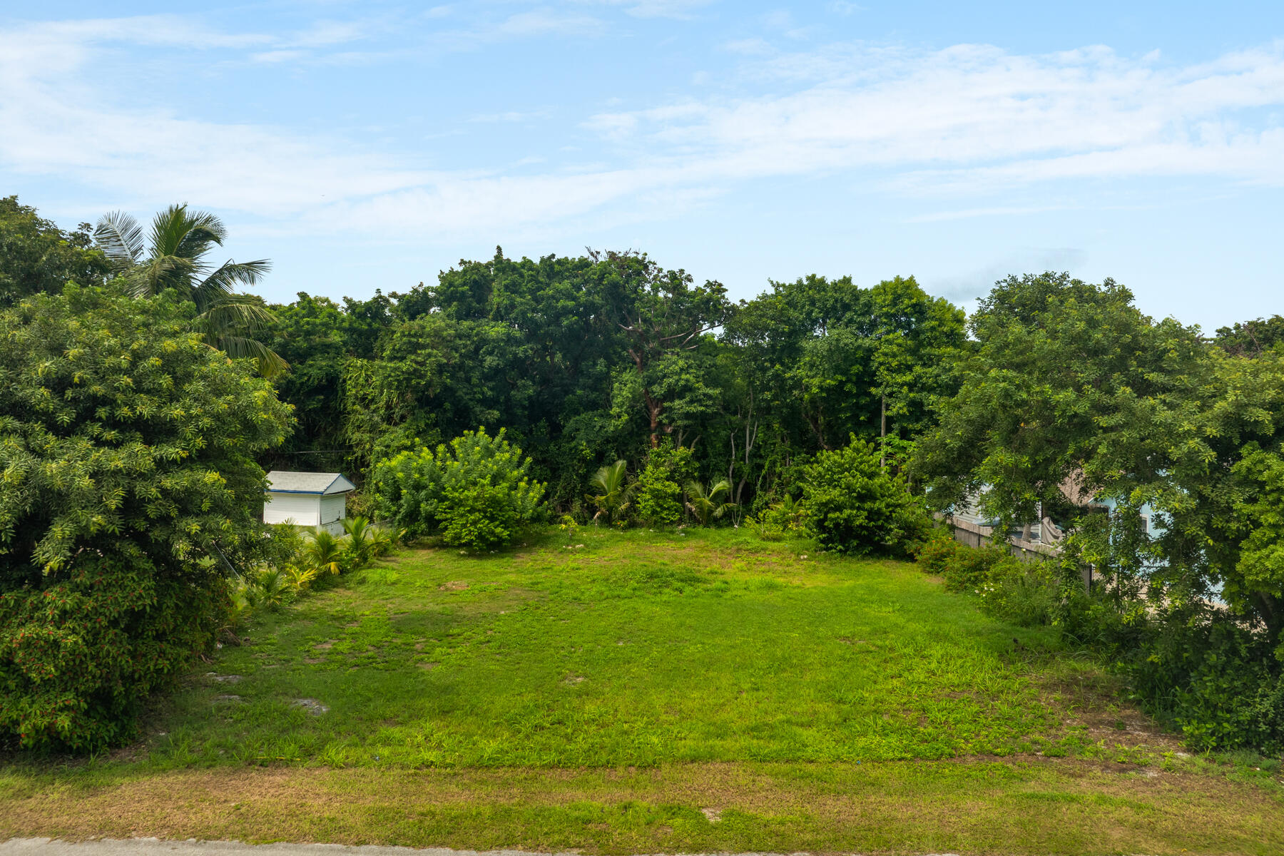 23 Palm Drive
