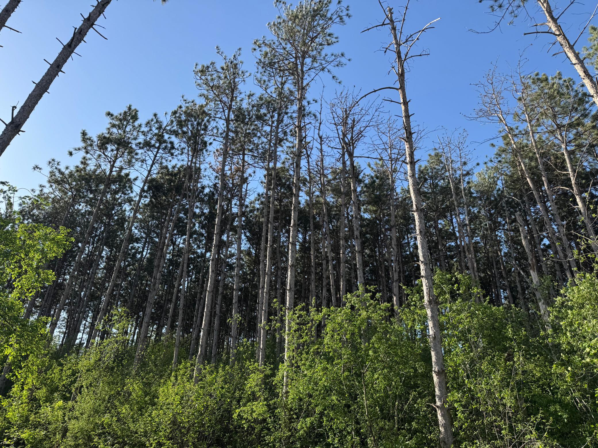 6259 Highland Hills Lane S