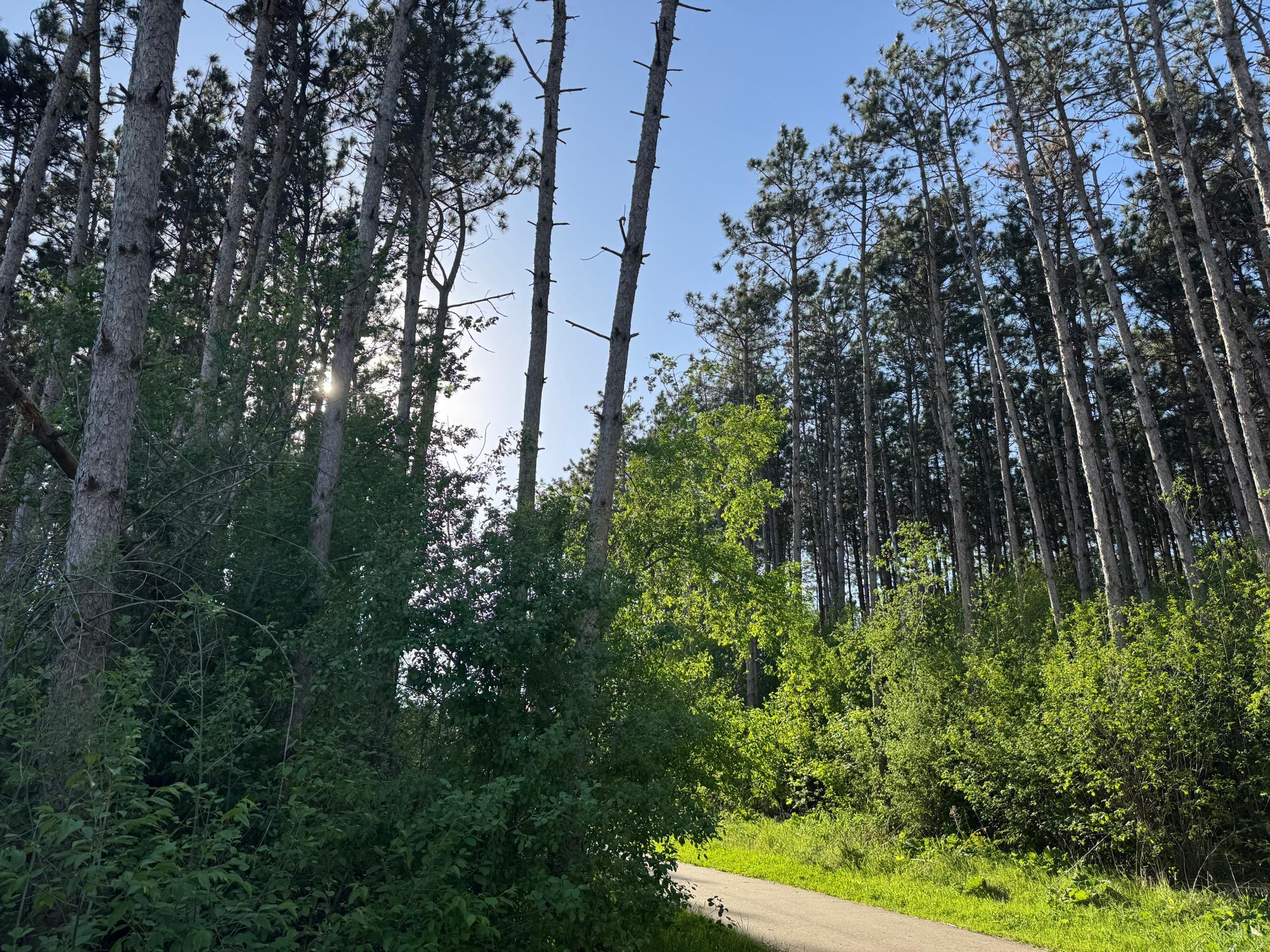 6259 Highland Hills Lane S