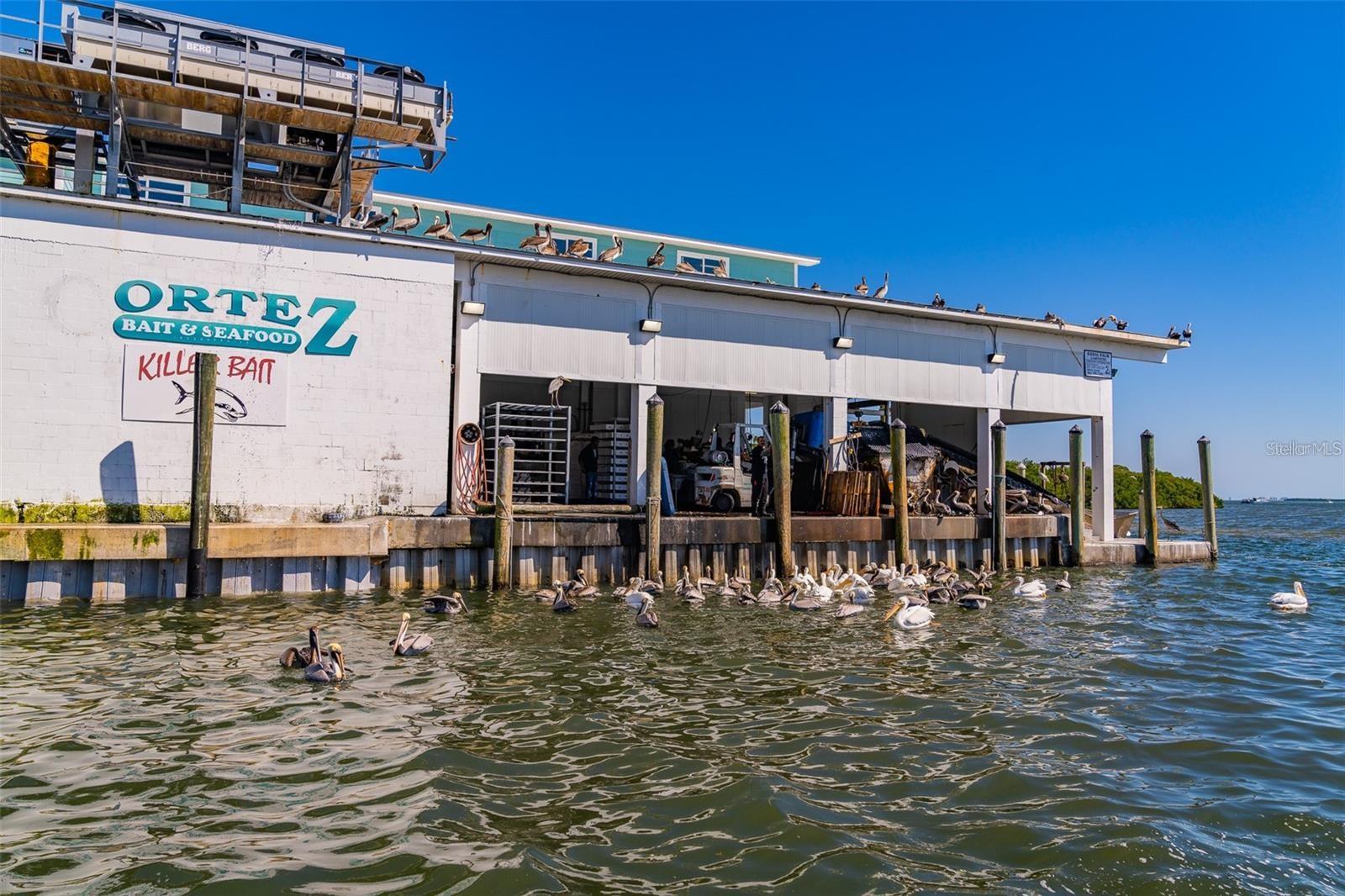 4337 SALTWATER PEARL WAY