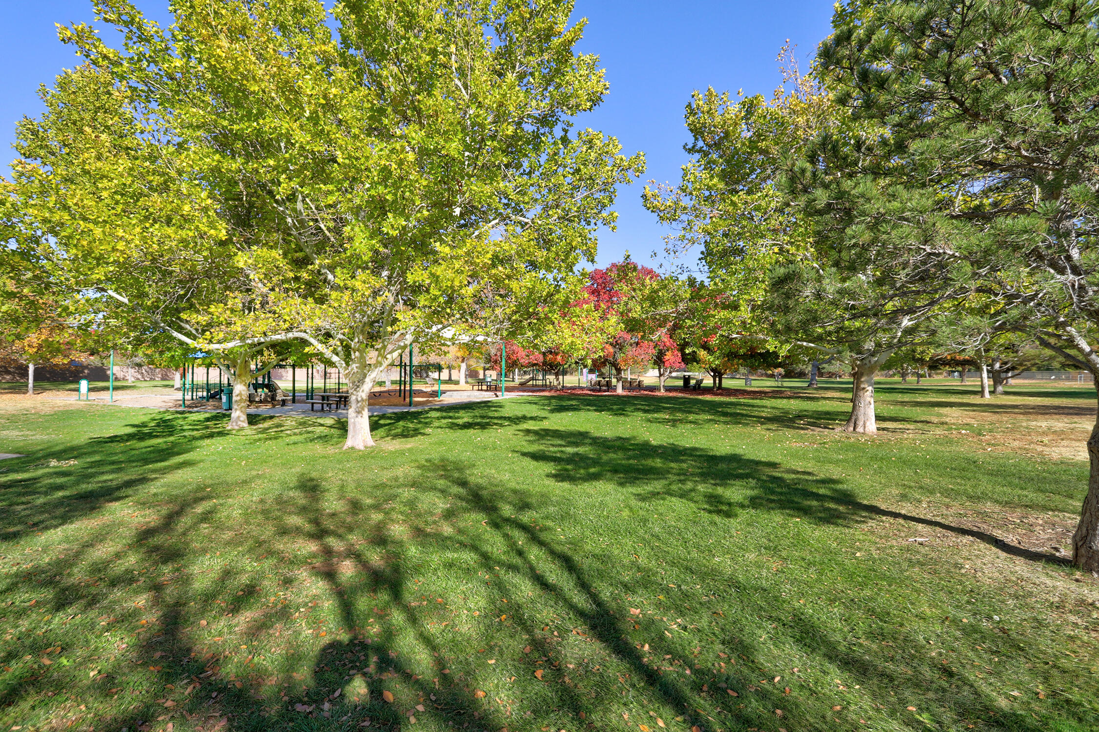 3620 Mateo Prado NW