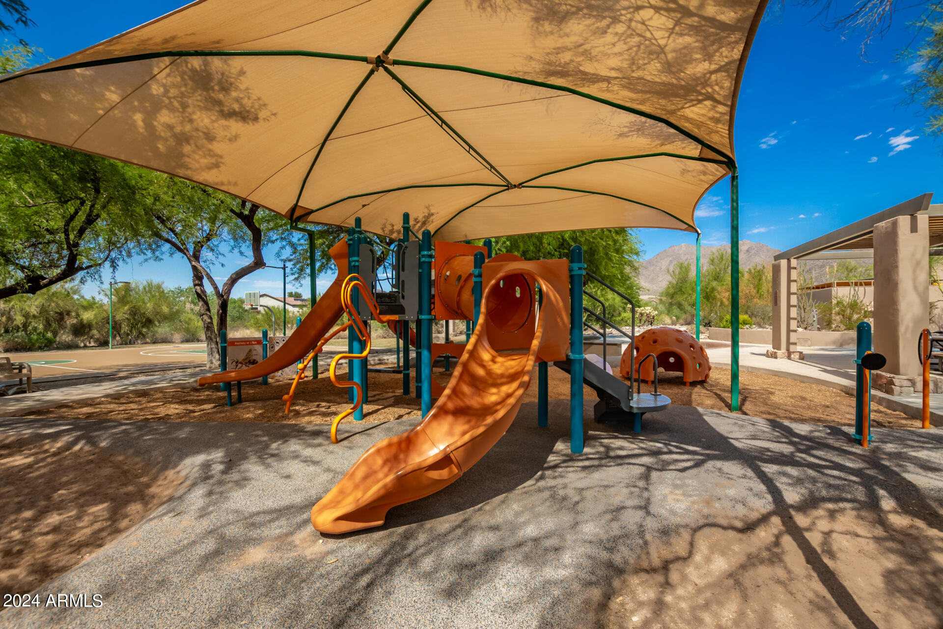 10223 E SALT BUSH Drive