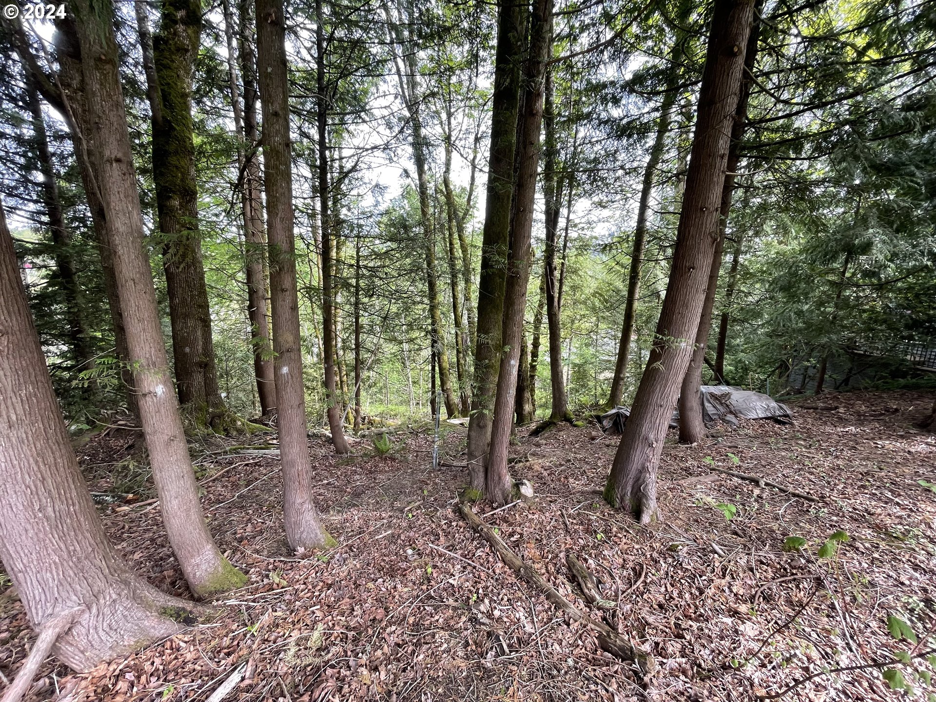 10314 NW ENGLEMAN ST