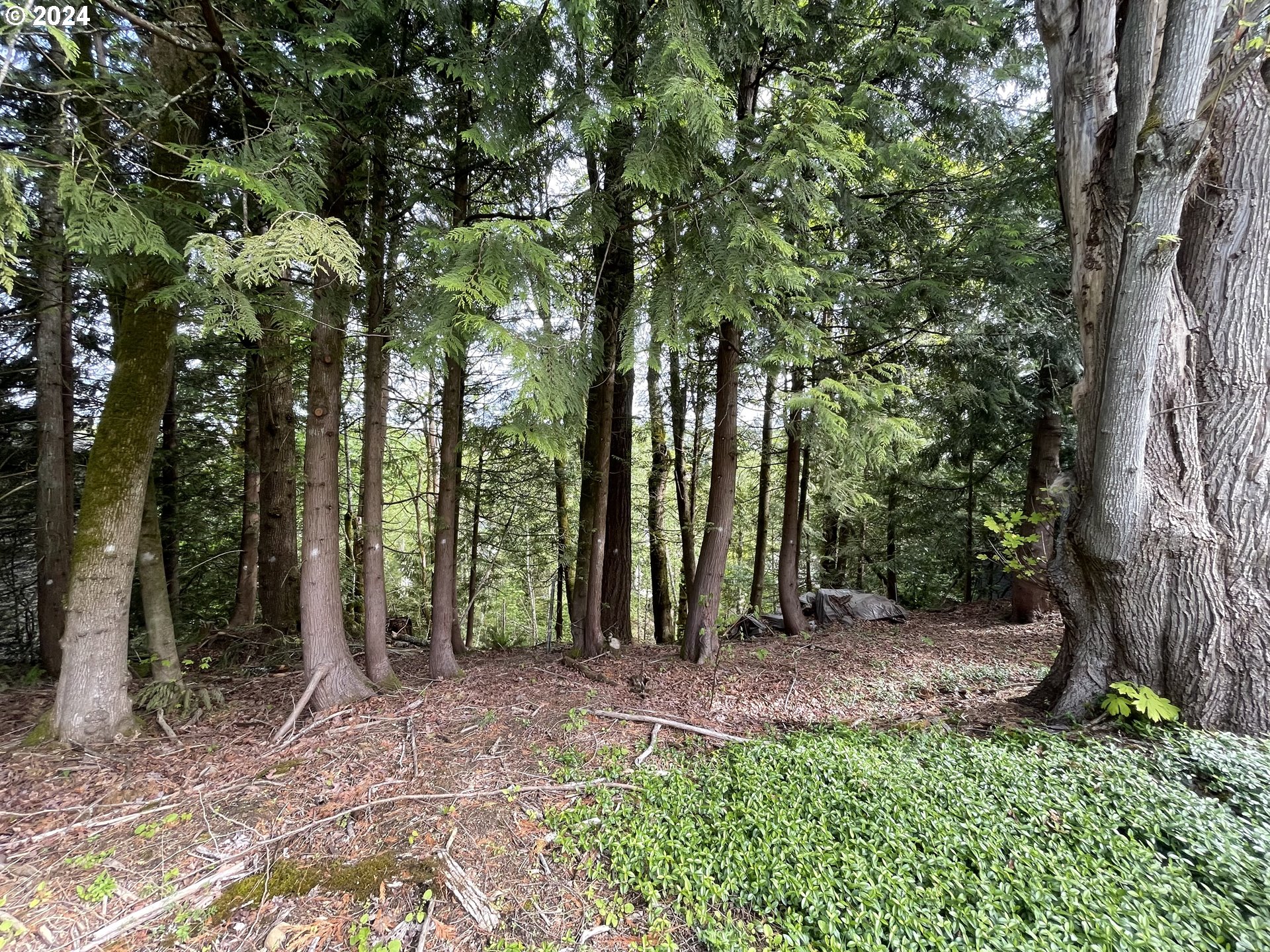 10314 NW ENGLEMAN ST