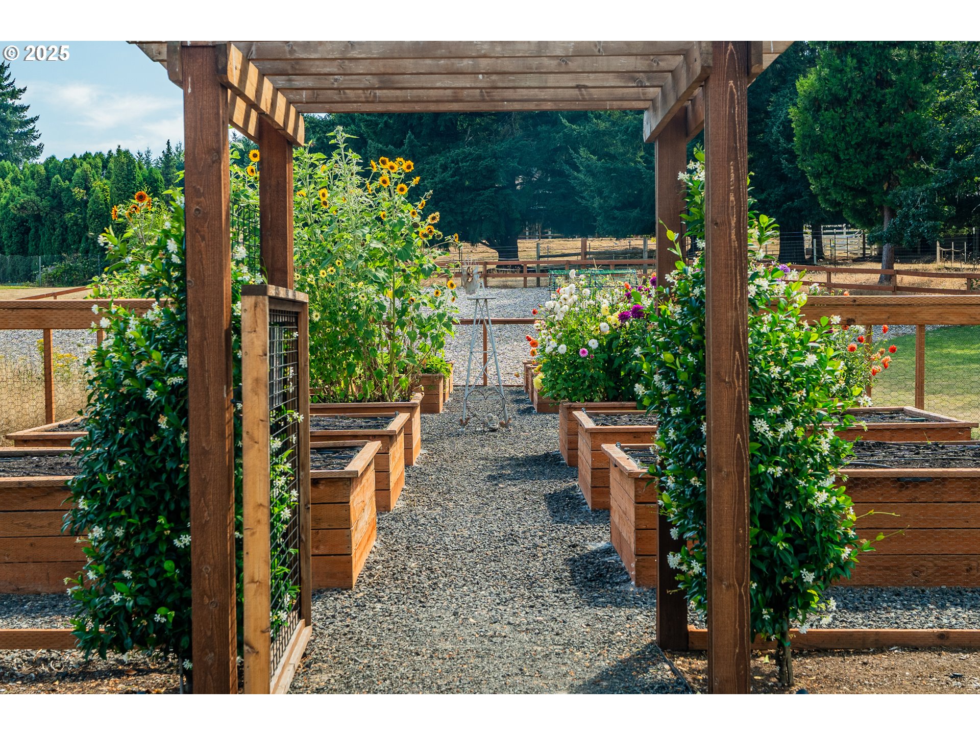 27165 SW BLUE MEADOW LN