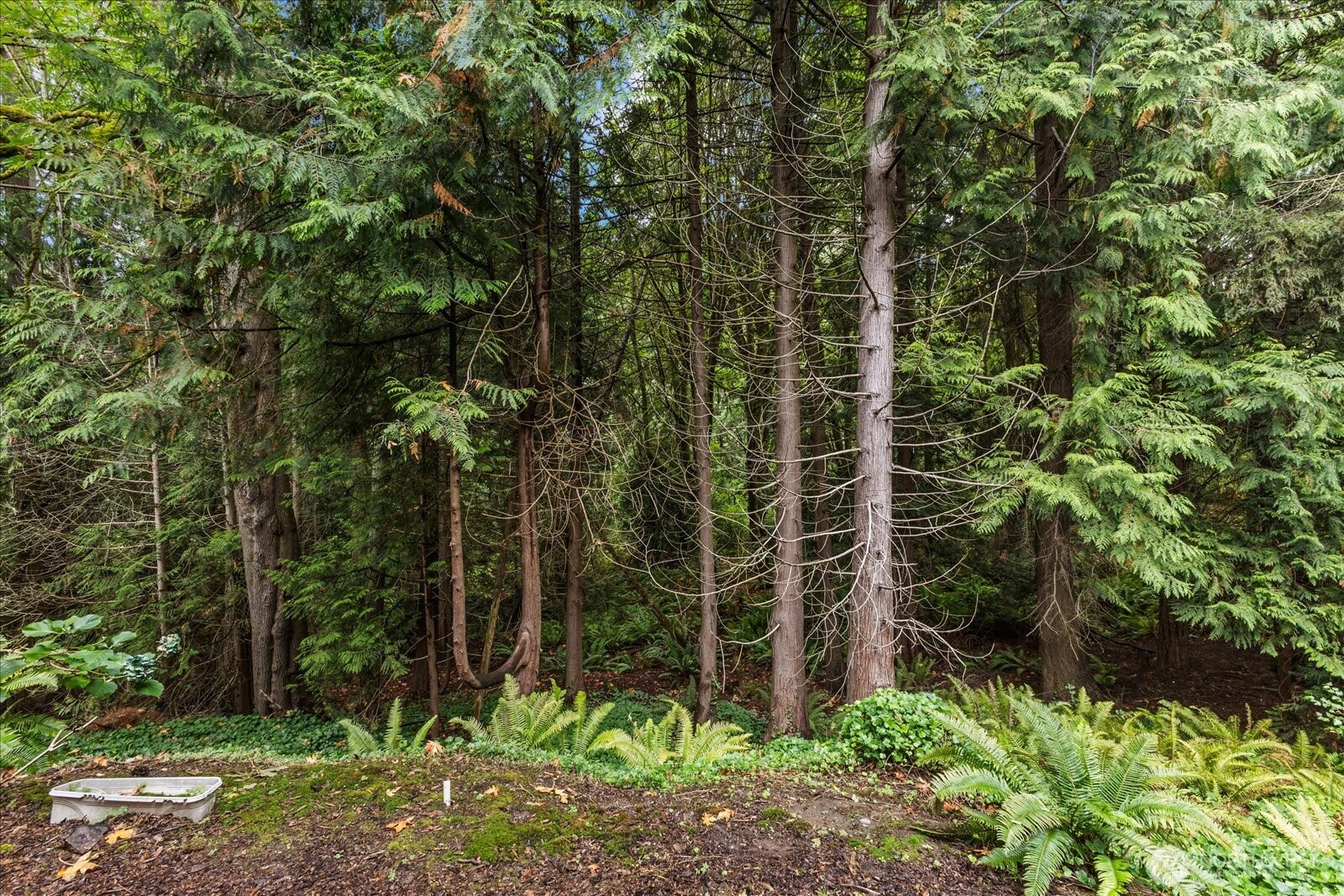 3921 108th Avenue NE Unit: A101