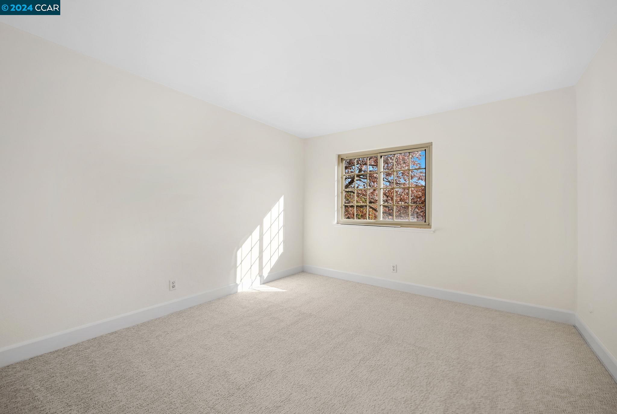 199 Beechnut Dr