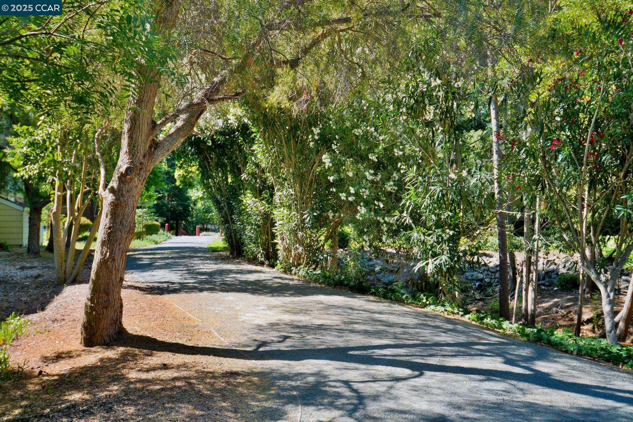 186 Farm Ln