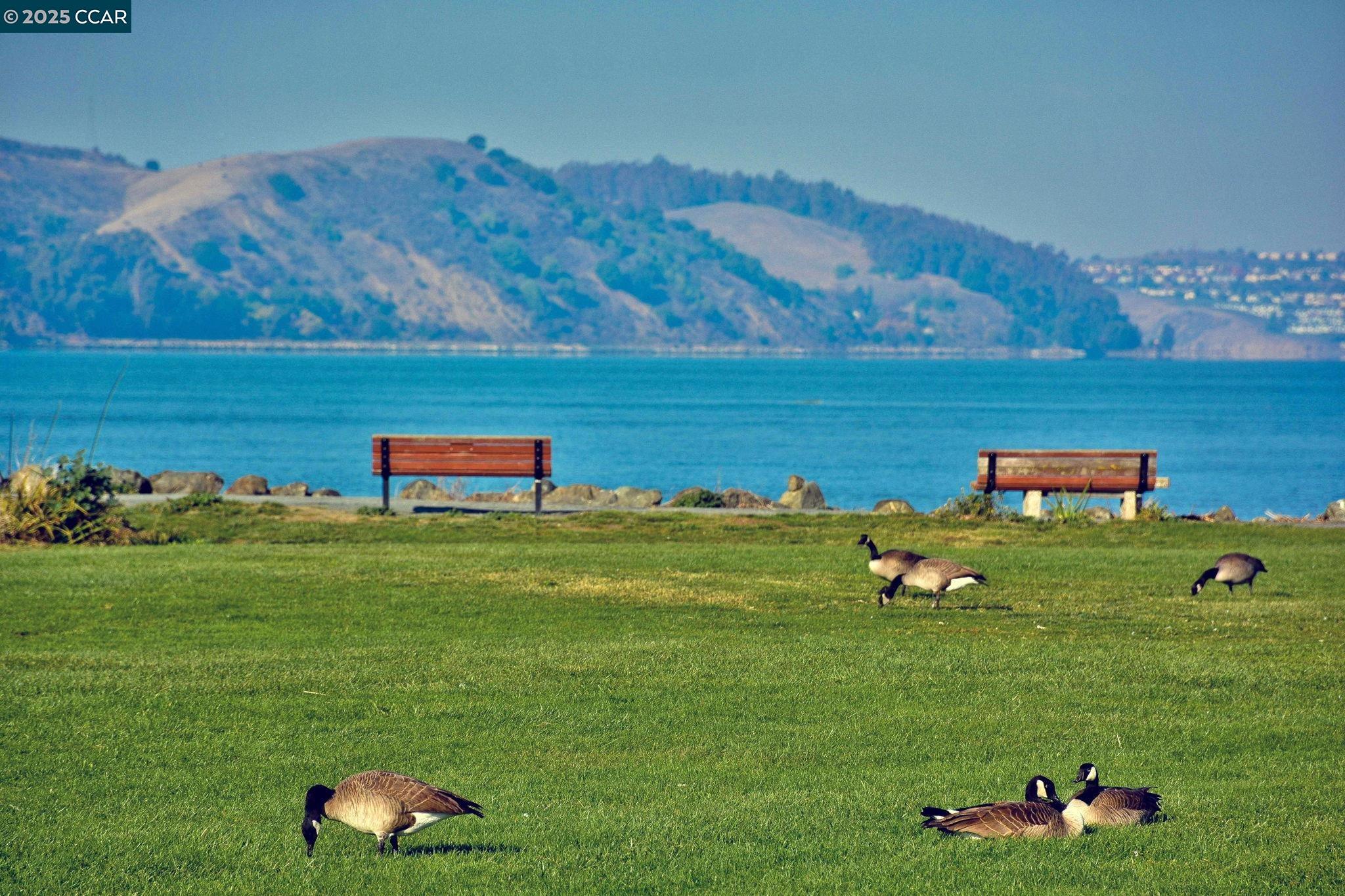 1042 W Arlington Way